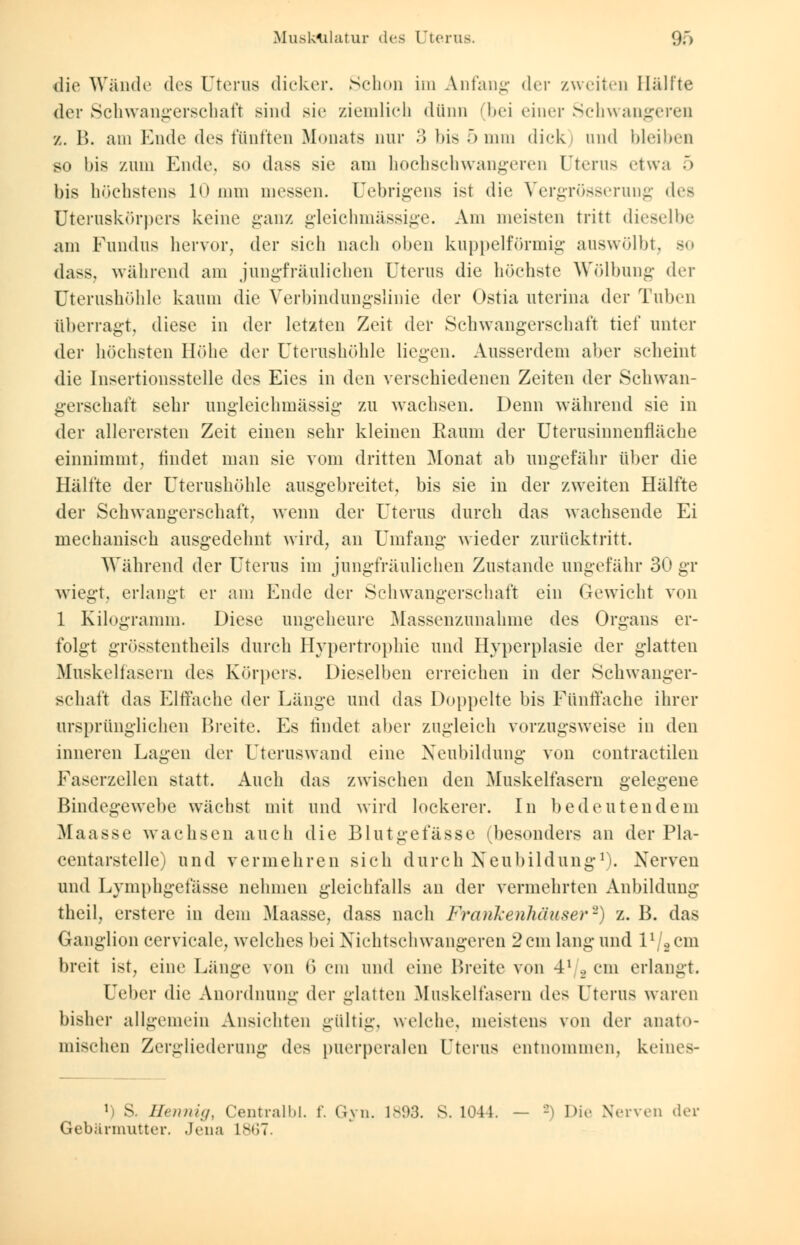 Muskulatur des Uterus. 96 die Wände des Uterus dicker. Schon im Anfang der zweiten Hälfte der Schwangerschaft sind sie ziemlich dünn (bei einer Schwangeren /.. B. am Ende des fünften Monats nur 3 bis 5 mm dick) und bleiben so bis zum Ende, so dass sie am hochschwangeren Uterus etwa 5 bis höchstens 10 mm messen. Uebrigens ist die Vergrösserung <\r< Uteraskörpers keine ganz gleichmässige. Am meisten tritt dieselbe am Fundus hervor, der sich nach oben kuppeiförmig auswölbt, dass, während am jungfräulichen Uterus die höchste Wölbung der Uterushöhle kaum die Verbindungslinie der Ostia uterina der Tuben überragt, diese in der letzten Zeit der Schwangerschaft tief unter der höchsten Höhe der Uterushöhle liegen. Ausserdem aber scheint die Insertionsstelle des Eies in den verschiedenen Zeiten der Schwan- gerschaft sehr ungleichmässig zu wachsen. Denn während sie in der allerersten Zeit einen sehr kleinen Raum der Uterusinnenfläche einnimmt, findet man sie vom dritten Monat ab ungefähr über die Hälfte der Uterushöhle ausgebreitet, bis sie in der zweiten Hälfte der Schwangerschaft, wenn der Uterus durch das wachsende Ei mechanisch ausgedehnt wird, an Umfang wieder zurücktritt. Während der Uterus im jungfräulichen Zustande ungefähr 30 gr wiegt, erlangt er am Ende der Schwangerschaft ein Gewicht von 1 Kilogramm. Diese ungeheure Massenzunahme des Organs er- folgt grösstenteils durch Hypertrophie und Hyperplasie der glatten Muskelfasern des Körpers. Dieselben erreichen in der Schwanger- schaft das Elffache der Länge und das Doppelte bis Fünffache ihrer ursprünglichen Breite. Es findet aber zugleich vorzugsweise in den inneren Lagen der Uteruswand eine Neubildung von contractilen Faserzellen statt. Auch das zwischen den Muskelfasern gelegene Bindegewebe wächst mit und wird lockerer. In bedeutendem Maasse wachsen auch die Blutgefässe (besonders an der Pla- centarstelle) und vermehren sich durch Neubildung1). Nerven und Lymphgefässe nehmen gleichfalls an der vermehrten Anbildung theil, erstere in dem Maasse, dass nach Frankenhäuser2) z. B. das Ganglion cervicale, welches bei Nichtschwangeren 2cm lang und l1 ._>cm breit ist, eine Länge von 6 cm und eine Breite von 41 ._, cm erlangt. Ueber die Anordnung der glatten Muskelfasern des Uterus waren bisher allgemein Ansichten gültig, welche, meistens von der anato- mischen Zergliederung des puerperalen Uterus entnommen, keines- *) S. Hennig, Centralbl. !'. Gyn. 1893. S. 1044. — -> Dir Nerven der Gebärmutter. Jena L867.