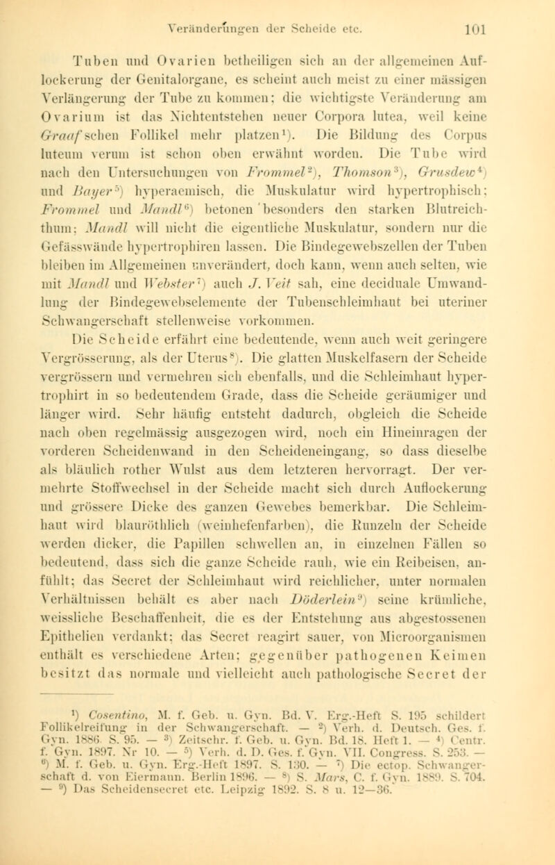 Veränderungen der Scheide etc. lnl Tuben und Ovarien betheiligen sich an der allgemeinen Auf- lockerung der Genitalorgane, es scheint auch meist zu einer massigen Verlängerung der Tube zu kommen; die wichtigste Veränderung am Ovarium ist das Kichtentstehen ueuer Corpora lutea, weil keine Graafscheu Follikel mehr platzen1). Die Bildung des Corpus luteum verum ist schon oben erwähnt worden. Die Tube wird Dach den Untersuchungen von Frommel2), Thomson'6), Grusde\ und Bayer5 hyperaemisch, die Muskulatur wird hypertrophisch; Frommel und Mandl6) betonen besonders den starken Blutreich- thum: Mandl will nicht die eigentliche Muskulatur, sondern nur die Gefässwände hypertrophiren lassen. Die Bindegewebszellen der Tuben bleiben im Allgemeinen unverändert, doch kann, wenn auch selten, wie mit Mandl und Webster1) auch J. Veit sah, eine deciduale Umwand- lung der Bindegewebselemente der Tubenschleimhaut bei uteriner Schwangerschaft stellenweise vorkommen. Die Scheide erfährt eine bedeutende, wenn auch weit geringere Vergrösserung, als der Uterus8 . Die glatten Muskelfasern der Scheide vergrößern und vermehren sich ebenfalls, und die Schleimhaut liyper- trophirt in so bedeutendem Grade, dass die Scheide geräumiger und länger wird. Sehr häutig entsteht dadurch, obgleich die Scheide nach oben regelmässig ausgezogen wird, noch ein Hineinragen der vorderen Scheidenwand in den Scheideneingang, so dass dieselbe als bläulich rother Wulst aus dem letzteren hervorragt. Der ver- mehrte Stoffwechsel in der Scheide macht sich durch Aurlockerung und grössere Dicke des ganzen Gewebes bemerkbar. Die Schleim- haut wird blauröthlich (weinhefenfarben), die Kunzein der Scheide werden dicker, die Papillen schwellen an. in einzelnen Fällen so bedeutend, dass sich die ganze Scheide rauh, wie ein Reibeisen, an- fühlt; das Secret der Schleimhaut wird reichlicher, unter normalen Verhältnissen behält es aber nach Döderlein9 seine krümliche. weissliche Beschaffenheit, die es der Entstehung aus abgestossenen Epithelien verdankt: das Secret reagirt sauer, von Microorganismen enthält es verschiedene Arten: gegenüber pathogenen Keimen besitzt das normale und vielleicht auch pathologische Secret der *) Cosentinoy M. f. Geb. u. Gyn. Bd. V. Erg.-Hefl S. 1'.'.» schildert Follikelreifung in der Schwangerschaft. — -) Verh. d. Deutsch. Ge« Gyn. L886 S. 95. — ;; Zeitschr. f. Geb. u. Gyn. Bd. 18. Beft 1. ' Centr. • '■■.:..>■•:. Xr 10. — 5) Wrli. «I. I). (ir>. f.'^vn. VII. CongTi M. t. Geb. u. Gyn. Erg.Heft 1897. S. L30. - T Die ectop. Schwang Bchaft d. von Eiermann. Berlinl896. - S. Mars, C. f. Gyn. 188