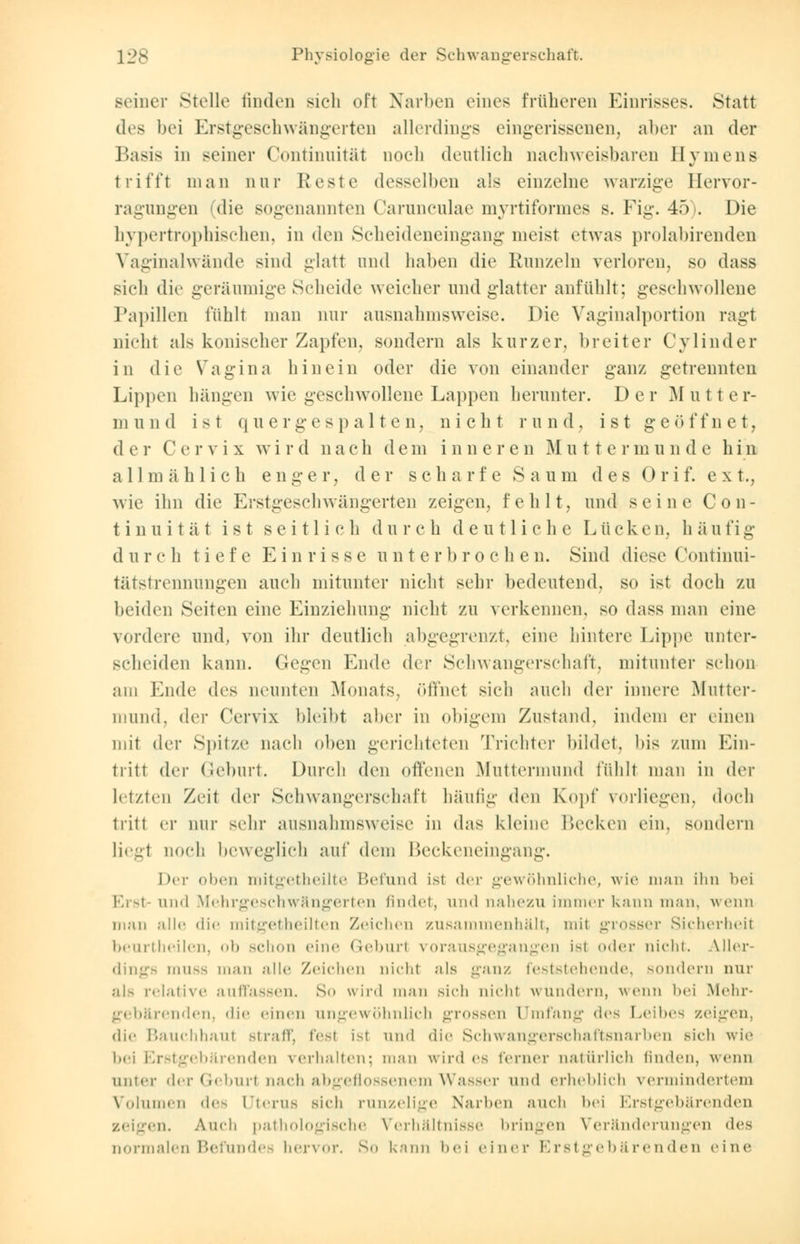 seiner Stelle finden sieb oft Narben eines früheren Einrisses. Statt des bei Erstgeschwängerten allerdings eingerissenen, aber an der Basis in seiner Continuität noeli deutlich nachweisbaren Hymens trifft man nur Reste desselben als einzelne warzige Bervor- ragungen (die sogenannten Carunculae myrtiformes s. Fig. 45). Die hypertrophischen, in den Scheideneingang meist etwas prolabirenden Vaginalwände sind glatt und haben die Runzeln verloren, so dass sieh die geräumige Seheide weicher und glatter anfühlt; geschwollene Tapillen fühlt man nur ausnahmsweise. Die Vaginalportion ragt nicht als konischer Zapfen, sondern als kurzer, breiter Cylinder in die Vagina hinein oder die von einander ganz getrennten Lippen hängen wie geschwollene Lappen herunter. Der M utt e r- m n n (1 ist quer gespalten, nicht rund, ist g e ö f f n e t, d e ]• C e rvix wi r d nach dem inneren Muttermunde hin allmählich enger, der scharfe Saum des 0 r i f. ext., wie ihn die Erstgesehwängerten zeigen, fehlt, und seine Con- tinuität ist seitlich durch deutliche Lücken, h äufig durch tiefe Einrisse unterbrochen. Sind diese Continui- tätstrennungen auch mitunter nicht sehr bedeutend, so ist doch zu beiden Seiten eine Einziehung nicht zu verkennen, so dass man eine vordere und, von ihr deutlieh abgegrenzt, eine hintere Lippe4 unter- scheiden kann, (legen Ende der Schwangerschaft, mitunter schon am Ende des neunten Monats, öffnet sieh auch der innere Mutter- mund, der Cervix bleibt aber in obigem Zustand, indem er einen mit der Spitze nach oben gerichteten Trichter bildet, bis zum Ein- tritt der Geburt. Durch den offenen Muttermund fühlt man in der letzten Zeit der Schwangerschaft häutig den Kopf vorliegen, doch tritt er nur sehr ausnahmsweise in das kleine Becken ein. sondern liegt noch beweglich auf dem Beckeneingang. Der oben mitgetheilte Befand ist der gewöhnliche, wie man ihn bei Ersl und Mehrgeschwängerten findet, und nahezu immer kann man, wenn man alle die mitgetheilten Zeichen zusammenhält, mit grosser Sicherheil beurtheilen, oh schon eine Geburl vorausgegangen isl oder nicht. Aller- dings hui-- man alle Zeichen nicht als ganz feststehende, Mindern nur als relative auffassen. So wird man sich nicht wundern, wenn hei Mehr- gebärenden, die einen im g ewöhnlich grossen Umfang des Leibes zeigen, die Bauchhaul straff, Pest ist und die Schwangerschaftsnarben Bich wie bei Erstgebärenden verhalten; man wird es ferner natürlich linden, wenn unter der Geburt nach abgeflossenem Wasser und erheblich vermindertem Volumen des Uterus sich runzelige Narben auch bei Erstgebärenden zeigen. Auch pathologische Verhältnisse bringen Veränderungen des normalen Befundes hervor. So kann bei einer Erstgebärenden eine