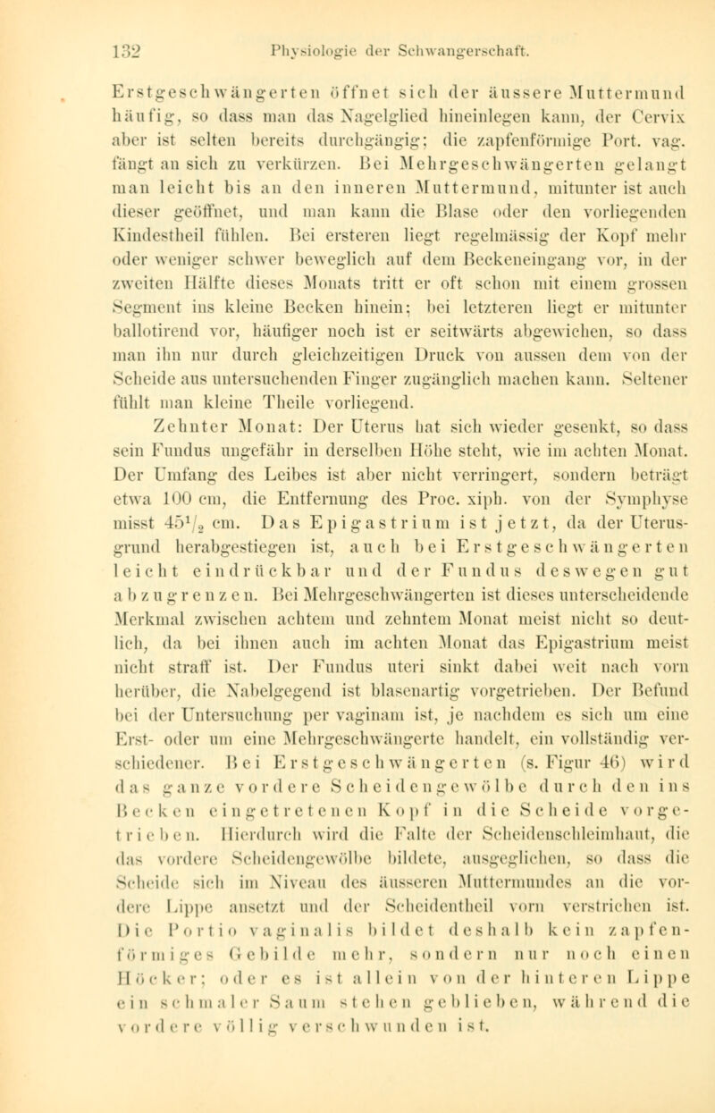 Erstgeschwängerten öffnet sich der äussere Muttermund häufig, so dass man das Nagelglied hineinlegen kann, der Cervix aber ist selten bereits durchgängig; die zapfenförmige Port. vag. fangt an sich zu verkürzen. Bei Mehrgeschwängerten gelangt man Leicht bis an den inneren Muttermund, mitunter ist auch dieser geöffnet, und man kann die Blase oder den vorliegenden Kindestheil fühlen. Bei ersteren liegt regelmässig der Kopf mehr oder weniger schwer beweglich auf dem Beckeneingang vor, in der zweiten Hälfte dieses Monats tritt er oft schon mit einem grossen Segment ins kleine Becken hinein: bei letzteren liegt er mitunter ballotirend vor, häufiger noch ist er seitwärts abgewichen, so dass man ihn nur durch gleichzeitigen Druck von aussen dem von der Scheide aus untersuchenden Finger zugänglich machen kann. Seltener fühlt man kleine Theile vorliegend. Zehnter Monat: Der Uterus hat sich wieder gesenkt, so dass sein Fundus ungefähr in derselben Höhe steht, wie im achten Monat. Der Umfang des Leibes ist aber nicht verringert, sondern beträgt etwa 100 cm, die Entfernung des Proc. xiph. von der Symphyse misst 4.V/2 cm. Das Epigastrium ist jetzt, da der Uterus- grund herabgestiegen ist, auch bei Erstgeschwän g e r t e n leicht e i n d r ü c k b a r u n d d e r F u n d u s des w e g e n g u t a b z u g r e n z e n. Bei Mehrgeschwängerten ist dieses unterscheidende Merkmal zwischen achtem und zehntem Monat meist nicht so deut- lich, da bei ihnen auch im achten Monat das Epigastrium meist nicht straff ist. Der Fundus uteri sinkt dabei weit nach vorn herüber, die Nabelgegend ist blasenartig vorgetrieben. Der Befund bei der Untersuchung per vaginam ist, je nachdem es sich um eine Erst- oder um eine Mchrgeschwängerte handelt, ein vollständig ver- schiedener. Bei Erst geschwängerten (s. Figur 46) wird das ganze vordere Scheidengewölbe durch den ins Becken eingetretenen Kopf in die Scheide vorge- trieben. Hierdurch wird die Falte der Scheidenschloimhaut, die das vordere Scheidengewölbe bildete, ausgeglichen, so dass die Scheide sich im Niveau des äusseren Muttermundes an die vor- dere Lippe ansetzt und der Scheidentheil vorn verstrichen ist. Die Porti«» vaginalis bildet deshalb kein zapfen- förmiges Gebilde mehr, sondern nur noch einen Höcker; oder o s i>t allein von der hinteren Lippe ein BChmaler Saum stehen geblieben, während die \ o r d c r e \ ö 1! i e vers c h w u n d e n i s t.