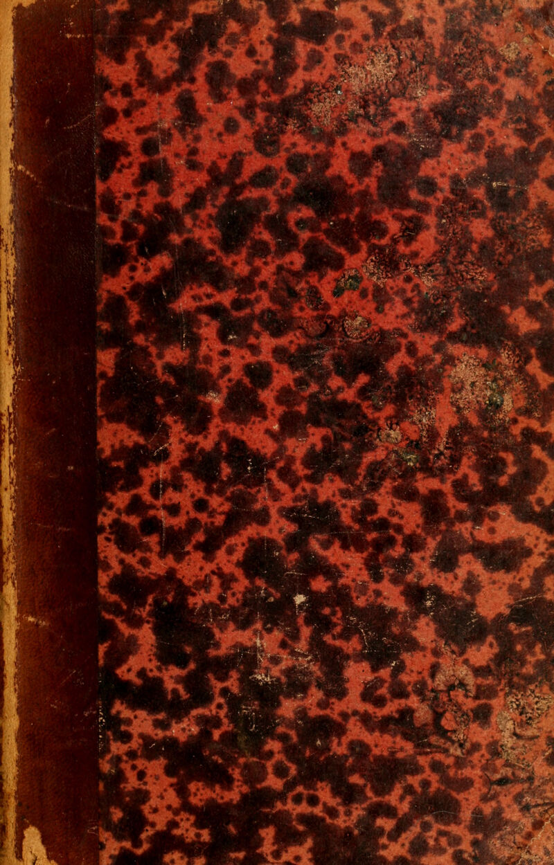 m *&> WhrMm m 4M m*ü& *>p «fc* T*