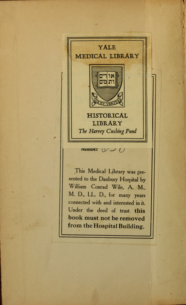 digitised image 2