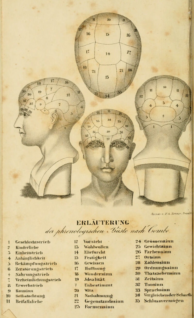 ■ ■■■' </et ///fir. ERLÄUTERUNG ///t;///f'/<//.;<//<-/f 1 GeselileWnsiriili 1' Kiiicln-Iiebe > EililieilsMiel» 4 Aiihaiielictikt-it .S BefcJ&mpftm£strieb 6 Zexslonuisslrieh + Kahrungstrieb Z Wrh«Hmlir|iun«>sirieJ» i\ Erwerbstrieb !♦ Bnnfam 10 Seil.sldilil Ulli: 11 BettAÜsJirbc 12 Vorsieht 24 Grössensimi 17. Wohlwollen 25 (iewichtsiiui 14 Klii lm-cht 26 Farbensinn U Festigkeit 21 Orteiim IC. Gewissen 28 Zahlensinn IT tfofftninig 29 Ordnungssinn m Wuiidrrshin 90 Thaisarhensinn 19 .Idealität :u Zeitsinn i Unbestimmt :*2 Toiisiiui 20 Witz. 33 Sjiraehsiim 21 Na«Jiahniini£ :H Vergleichen der Sduudfc 82 (rfsi-nslaiitlssiiin 33 Schlug svermngen 27* Kurmeiisiiiu