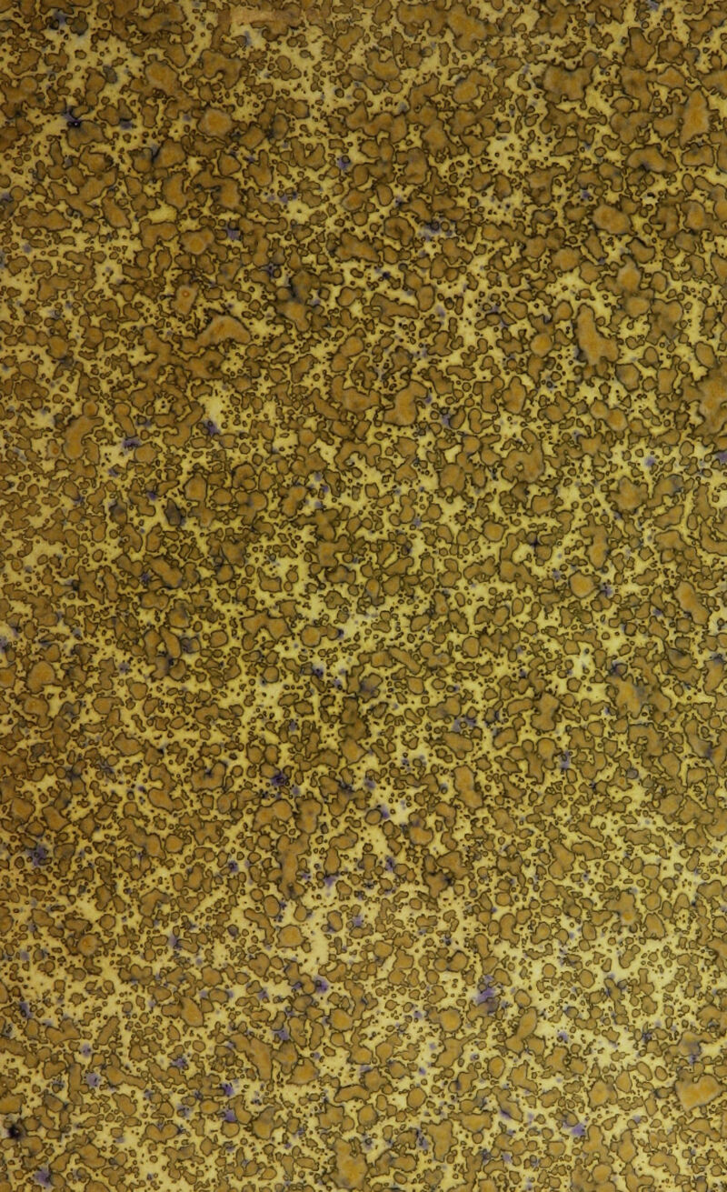 ;^> . - -^ . -i^ V ^