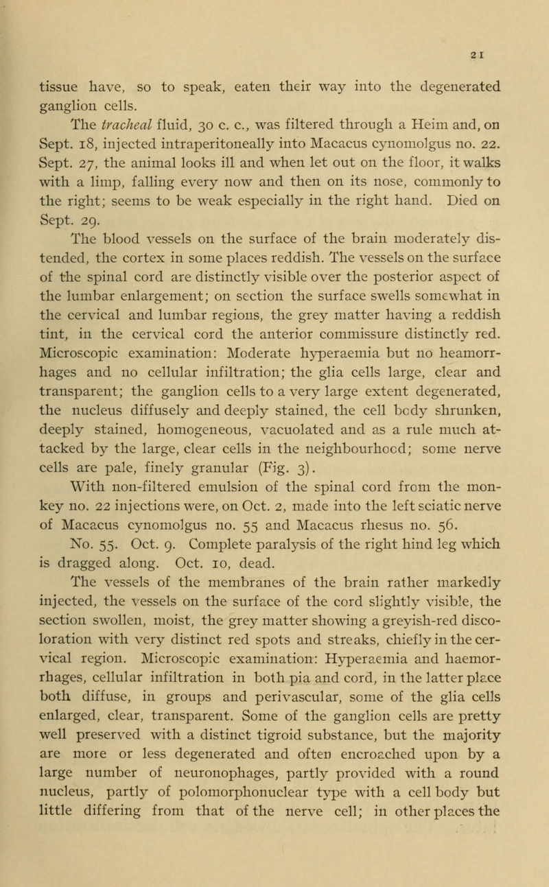 tissue have, so to speak, eaten their way into the degenerated ganglion cells. The tracheal fluid, 30 c. c., was filtered through a Heim and, on Sept. 18, injected intraperitoneally into Macacus cynomolgus no. 22. Sept. 27, the animal looks ill and when let out on the floor, it walks with a limp, falling every now and then on its nose, commonly to the right; seems to be weak especially in the right hand. Died on Sept. 29. The blood vessels on the surface of the brain moderately dis- tended, the cortex in some places reddish. The vessels on the surface of the spinal cord are distinctly visible over the posterior aspect of the lumbar enlargement; on section the surface swells somewhat in the cervical and lumbar regions, the grey matter having a reddish tint, in the cervical cord the anterior commissure distinctly red. Microscopic examination: Moderate hyperaemia but no heamorr- hages and no cellular infiltration; the glia cells large, clear and transparent; the ganglion cells to a very large extent degenerated, the nucleus diffusely and deeply stained, the cell body shrunken, deeply stained, homogeneous, vacuolated and as a rule much at- tacked by the large, clear cells in the neighbourhood; some nerve cells are pale, finely granular (Fig. 3). With non-filtered emulsion of the spinal cord from the mon- key no. 22 injections were, on Oct. 2, made into the left sciatic nerve of Macacus cynomolgus no. 55 and Macacus rhesus no. 56. No. 55. Oct. 9. Complete paralysis of the right hind leg which is dragged along. Oct. 10, dead. The vessels of the membranes of the brain rather markedly injected, the vessels on the surface of the cord slightly visible, the section swollen, moist, the grey matter showing a greyish-red disco- loration with very distinct red spots and streaks, chiefly in the cer- vical region. Microscopic examination: Hyperaemia and haemor- rhages, cellular infiltration in both pia and cord, in the latter place both diffuse, in groups and perivascular, some of the glia cells enlarged, clear, transparent. Some of the ganglion cells are pretty well preserved with a distinct tigroid substance, but the majority are more or less degenerated and often encroached upon by a large number of neuronophages, partly provided with a round nucleus, partly of polomorphonuclear type with a cell body but little differing from that of the nerve cell; in other places the
