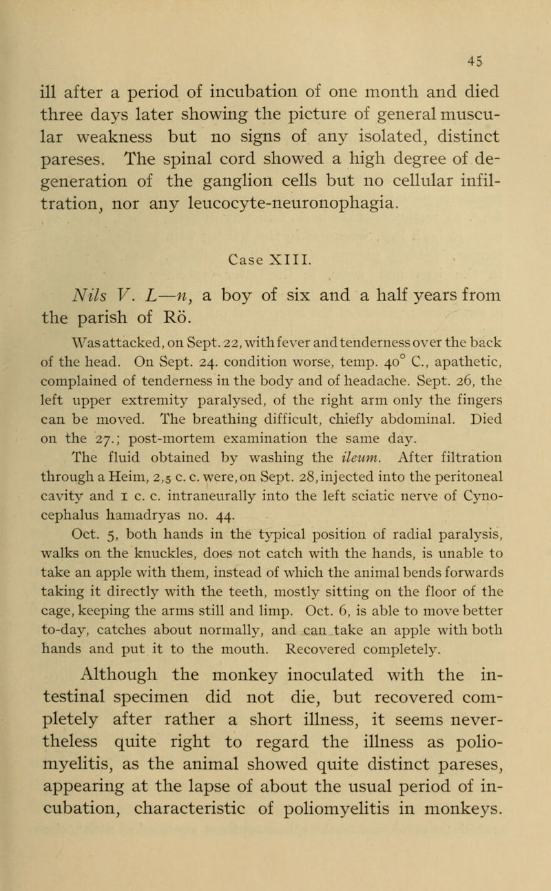 ill after a period of incubation of one month and died three days later showing the picture of general muscu- lar weakness but no signs of any isolated, distinct pareses. The spinal cord showed a high degree of de- generation of the ganglion cells but no cellular infil- tration, nor any leucocyte-neuronophagia. Case XIII. Nils V. L—it, a boy of six and a half years from the parish of R6. Was attacked, on Sept. 22, with fever and tenderness over the back of the head. On Sept. 24. condition worse, temp. 400 C, apathetic, complained of tenderness in the body and of headache. Sept. 26, the left upper extremity paralysed, of the right arm only the fingers can be moved. The breathing difficult, chiefly abdominal. Died on the 27.; post-mortem examination the same day. The fluid obtained by washing the ileum. After filtration through a Heim, 2,5 c. c. were,on Sept. 28,injected into the peritoneal cavity and 1 c. c. intraneurally into the left sciatic nerve of Cyno- cephalus hamadryas no. 44. Oct. 5, both hands in the typical position of radial paralysis, walks on the knuckles, does not catch with the hands, is unable to take an apple with them, instead of which the animal bends forwards taking it directly with the teeth, mostly sitting on the floor of the cage, keeping the arms still and limp. Oct. 6, is able to move better to-day, catches about normally, and can take an apple with both hands and put it to the mouth. Recovered completely. Although the monkey inoculated with the in- testinal specimen did not die, but recovered com- pletely after rather a short illness, it seems never- theless quite right to regard the illness as polio- myelitis, as the animal showed quite distinct pareses, appearing at the lapse of about the usual period of in- cubation, characteristic of poliomyelitis in monkeys.