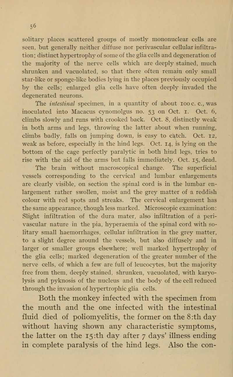 solitary places scattered groups of mostly mononuclear cells are seen, but generally neither diffuse nor perivascular cellular infiltra- tion; distinct hypertrophy of some of the glia cells and degeneration of the majority of the nerve cells which are deeply stained, much shrunken and vacuolated, so that there often remain only small star-like or sponge-like bodies lying in the places previously occupied by the cells; enlarged glia cells have often deeply invaded the degenerated neurons. The intestinal specimen, in a quantity of about iooc. c, was inoculated into Macacus cynomolgus no. 53 on Oct. 1. Oct. 6, climbs slowly and runs with crooked back. Oct. 8, distinctly weak in both arms and legs, throwing the latter about when running, climbs badly, falls on jumping down, is easy to catch. Oct. 12, weak as before, especially in the hind legs. Oct. 14, is lying on the bottom of the cage perfectly paralytic in both hind legs, tries to rise with the aid of the arms but falls immediately. Oct. 15, dead. The brain without macroscopical change. The superficial vessels corresponding to the cervical and lumbar enlargements are clearly visible, on section the spinal cord is in the lumbar en- largement rather swollen, moist and the grey matter of a reddish colour with red spots and streaks. The cervical enlargement has the same appearance, though less marked. Microscopic examination: vSlight infiltration of the dura mater, also infiltration of a peri- vascular nature in the pia, rryperaemia of the spinal cord with so- litary small haemorrhages, cellular infiltration in the grey matter, to a slight degree around the vessels, but also diffusely and in larger or smaller groups elsewhere; well marked hypertrophy of the glia cells; marked degeneration of the greater number of the nerve cells, of which a few are full of leucocytes, but the majority free from them, deeply stained, shrunken, vacuolated, with karyo- lysis and pyknosis of the nucleus and the body of the cell reduced through the invasion of hypertrophic glia cells. Both the monkey infected with the specimen from the mouth and the one infected with the intestinal fluid died of poliomyelitis, the former on the 8 :th day without having shown any characteristic symptoms, the latter on the 151th day after 7 days' illness ending in complete paralysis of the hind legs. Also the con-