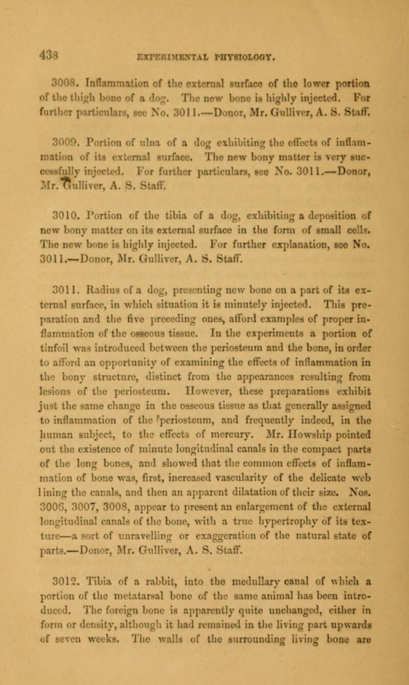300S. Inflammation of f tlio low Of tl ily injected. | furt 301 1.—! ' 300{|. alni of i .f inflam- . oassfully No, 3011.—D iff 3010. Portion of the tibia of ■ dog, exhibiting i new external surface in tli The new bone is highly injected. I'or further explanation, see No. .— Donor, Mr. A. S. Sniff 3011. Radios of a dog, pi rfaoe, in which situation it is minutely injeeted. This | pan: i ones, afford i i in- flammation of the osseous tissue. In the experiments a portion of tinfoil was introdo the perioeteom and the bone, in i i . unity of examining the effects of inflammation in rueture, distinct from the appearanc am. II paratious exhibit the same change in the osseous tissue as that generally to inflammation of th urn, and frequently indeed, in the human - I reury. .Mr. How-hip pofc out the existence of minute longitudinal canals in the compact parti of the long bones, and showed that the common effects of inflam- mation of bone was, first, il .larity of the delk lining th and then an apparent dilatation of their m 300 '. 3008, appear to present an enlargement of the external .ial canal tie, with B trne hypertrophy < ! tore—a travelling or f the natural state of .—Donor, Mr. Gulliver, A. S. Staff 3010. Tibia of a rabbit, into the medullary canal of which a bataraal hone of tl animal has been intro- foreign bone is apparently quite un< ither in form or I I had remained in the living part uj>wards Us of the surrounding li\i