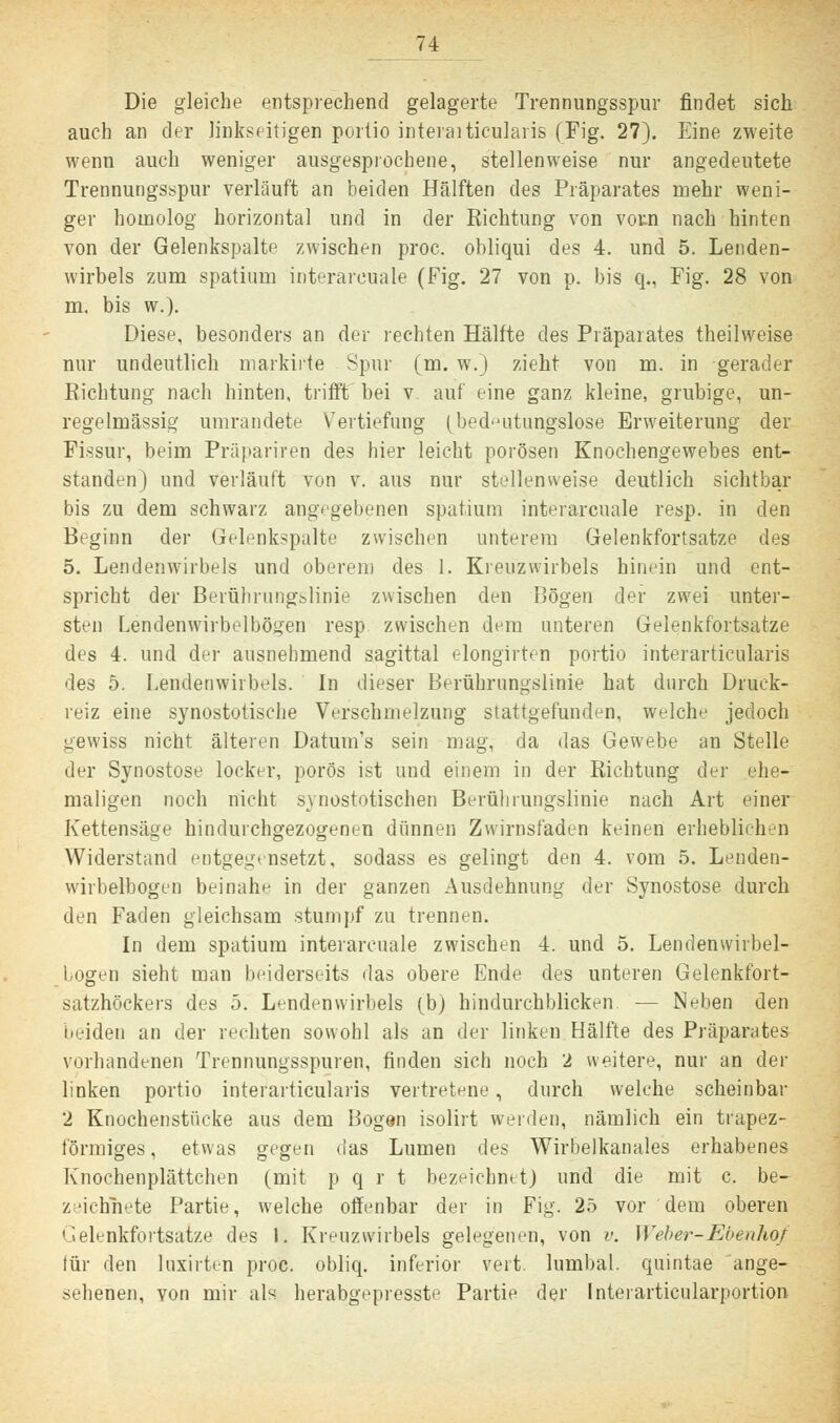 Die gleiche entsprechend gelagerte Trennungsspur findet sich auch an der linkseitigen portio interaiticulaiis (Fig. 27). Eine zweite wenn auch weniger ausgesprochene, stellenweise nur angedeutete Trennungsspur verläuft an beiden Hälften des Präparates mehr weni- ger homolog horizontal und in der Richtung von votn nach hinten von der Gelenkspalte zwischen proc. obliqui des 4. und 5. Lenden- wirbels zum spatium interarcuale (Fig. 27 von p. bis q., Fig. 28 von m. bis w.). Diese, besonders an der rechten Hälfte des Präparates theilweise nur undeutlich markirte Spur (m. w.) zieht von m. in gerader Richtung nach hinten, trifft bei v auf eine ganz kleine, grubige, un- regelmässig umrandete Vertiefung (bedeutungslose Erweiterung der Fissur, beim Präpariren des hier leicht porösen Knochengewebes ent- standen) und verläuft von v. aus nur stellenweise deutlich sichtbar bis zu dem schwarz angegebenen spatium interarcuale resp. in den Beginn der Gelenkspalte zwischen unterem Gelenkfortsatze des 5. Lendenwirbels und oberem des 1. Kreuzwirbels hinein und ent- spricht der Berührungblinie zwischen den Bögen der zwei unter- sten Lendenwirbelbögen resp zwischen dem unteren Gelenkfortsatze des 4. und der ausnehmend sagittal elongirten portio interarticularis des 5. Lendenwirbels. In dieser Berührungslinie hat durch Druck- reiz eine synostotische Verschmelzung stattgefunden, welche jedoch gewiss nicht älteren Datum's sein mag, da das Gewebe an Stelle der Synostose locker, porös ist und einem in der Richtung der ehe- maligen noch nicht synostotischen Beruhrungslinie nach Art einer Kettensäge hindurchgezogenen dünnen Zwirnsfaden keinen erheblichen Widerstand entgegensetzt, sodass es gelingt den 4. vom 5. Lenden- wiihelbogen beinahe in der ganzen Ausdehnung der Synostose durch den Faden gleichsam .stumpf zu trennen. In dem spatium interarcuale zwischen 4. und 5. Lendenwirbel- Logen sieht man beiderseits das obere Ende des unteren Gelenkfort- satzhöckers des 5. Lendenwirbels (b) hindurchblicken — Neben den beiden an der rechten sowohl als an der linken Hälfte des Präparates vorhandenen Trennungsspuren, finden sich noch 2 weitere, nur an der linken portio interarticularis vertretene, durch welche scheinbar 2 Knochenstücke aus dem Bogen isolirt weiden, nämlich ein trapez- förmiges, etwas gegen das Lumen des Wirbelkanales erhabenes K'nochenplättchen (mit p q r t bezeichnet) und die mit c. be- zeichnete Partie, welche offenbar der in Fig. 25 vor dem oberen Gelenkfortsatze des I. Kreuzwirbels gelegenen, von v. Weber-Ebenhof lür den luxitten proc. obliq. inferior vert. lumbal, quintae ange- sehenen, von mir als herabgepresste Partie der Interarticularportion