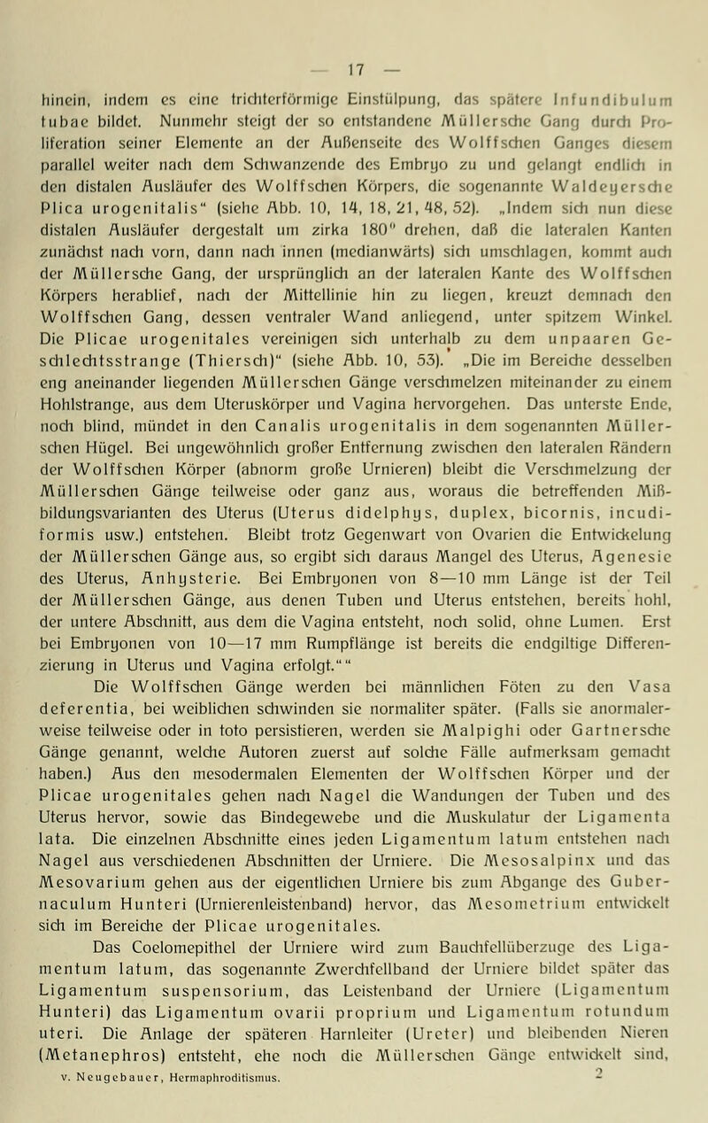 hinein, indem es eine trichterförmige Einstülpung, das spätere Infundibulum tubae bildet. Nunmehr steigt der so entstandene Müllersche Gang durch Pro- liferation seiner Elemente an der Außenseite des Wolffschen Ganges diesem parallel weiter nach dem Schwanzende des Embryo zu und gelangt endlich in den distalen Ausläufer des Wolffschen Körpers, die sogenannte Waldeyersche Plica urogenitalis (siehe Abb. 10, 14, 18,21,48,52). „Indem sich nun diese distalen Ausläufer dergestalt um zirka 180 drehen, daß die lateralen Kanten zunächst nach vorn, dann nach innen (mcdianwärts) sich umschlagen, kommt auch der Müllersche Gang, der ursprünglich an der lateralen Kante des Wolffschen Körpers herablief, nach der Mittellinie hin zu liegen, kreuzt demnach den Wolffschen Gang, dessen ventraler Wand anliegend, unter spitzem Winkel. Die Plicae urogenitales vereinigen sich unterhalb zu dem unpaaren Ge- schlechtsstrange (Thiersch) (siehe Abb. 10, 53). „Die im Bereiche desselben eng aneinander liegenden Müllerschen Gänge verschmelzen miteinander zu einem Hohlstrange, aus dem Uteruskörper und Vagina hervorgehen. Das unterste Ende, noch blind, mündet in den Canalis urogenitalis in dem sogenannten Müller- schen Hügel. Bei ungewöhnlich großer Entfernung zwischen den lateralen Rändern der Wolffschen Körper (abnorm große Urnieren) bleibt die Verschmelzung der Müllerschen Gänge teilweise oder ganz aus, woraus die betreffenden Miß- bildungsvarianten des Uterus (Uterus didelphys, duplex, bicornis, incudi- formis usw.) entstehen. Bleibt trotz Gegenwart von Ovarien die Entwickelung der Müllerschen Gänge aus, so ergibt sich daraus Mangel des Uterus, Agenesie des Uterus, Anhysterie. Bei Embryonen von 8—10 mm Länge ist der Teil der Müllerschen Gänge, aus denen Tuben und Uterus entstehen, bereits hohl, der untere Abschnitt, aus dem die Vagina entsteht, noch solid, ohne Lumen. Erst bei Embryonen von 10—17 mm Rumpflänge ist bereits die endgiltige Differen- zierung in Uterus und Vagina erfolgt. Die Wolffschen Gänge werden bei männlichen Föten zu den Vasa deferentia, bei weiblichen schwinden sie normaliter später. (Falls sie anormaler- weise teilweise oder in toto persistieren, werden sie Malpighi oder Gartnersdie Gänge genannt, welche Autoren zuerst auf solche Fälle aufmerksam gemacht haben.) Aus den mesodermalen Elementen der Wolffschen Körper und der Plicae urogenitales gehen nach Nagel die Wandungen der Tuben und des Uterus hervor, sowie das Bindegewebe und die Muskulatur der Ligamenta lata. Die einzelnen Abschnitte eines jeden Ligamentum latum entstehen nadi Nagel aus verschiedenen Abschnitten der Urniere. Die Mesosalpinx und das Mesovarium gehen aus der eigentlichen Urniere bis zum Abgange des Guber- naculum Hunteri (Urnierenleistenband) hervor, das Mesometriuni entwickelt sich im Bereiche der Plicae urogenitales. Das Coelomepithel der Urniere wird zum Bauclifellübcrzugc des Liga- mentum latum, das sogenannte Zwerchfellband der Urniere bildet später das Ligamentum Suspensorium, das Leistenband der Urniere (Ligamentum Hunteri) das Ligamentum ovarii proprium und Ligamentum rotundum uteri. Die Anlage der späteren Harnleiter (Ureter) und bleibenden Nieren (Metanephros) entsteht, ehe noch die Müllerschen Gänge entwickelt sind, v. Neugebauer, Hcrniaphroditismus.