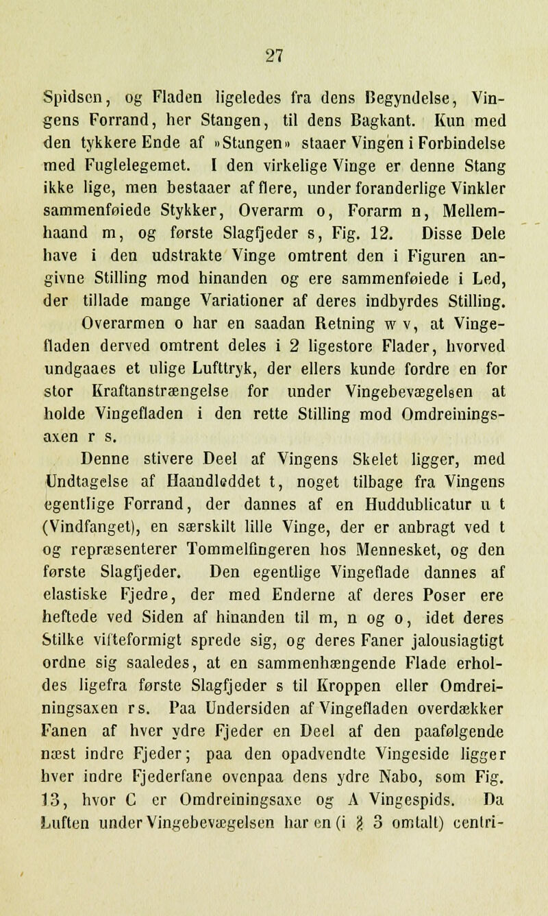 Spidsen, og Fladen ligeledes fra dens Begyndelse, Vin- gens Forrand, her Stangen, til dens Bagkant. Kun med den tykkere Ende af »Stangen» staaer Vingen i Forbindelse med Fuglelegemet. I den virkelige Vinge er denne Stang ikke lige, men bestaaer afflere, underforanderlige Vinkler sammenfoiede Stykker, Overarm o, Forarm n, Mellem- haand m, og forste Slagfjeder s, Fig. 12. Disse Dele liave i den udstrakte Vinge omtrent den i Figuren an- givne Stilling raod hinanden og ere sammenfoiede i Led, der tillade mange Variationer af deres indbyrdes Stilling. Overarmen o har en saadan Retning w v, at Vinge- fladen derved omtrent deles i 2 ligestore Flader, hvorved undgaaes et ulige Lufttryk, der ellers kunde fordre en for stor Kraftanstraengelse for under Vingebevtegelsen at holde Vingefladen i den rette Stilling mod Omdreinings- axen r s. Denne stivere Deel af Vingens Skelet ligger, med Undtagelse af Haandleddet t, noget tilbage fra Vingens egentlige Forrand, der dannes af en Huddublicatur u t (Vindfanget), en saerskilt Iille Vinge, der er anbragt ved t og reprffisenterer Tommelfingeren hos Mennesket, og den forste Slagfjeder. Den egentlige Vingeflade dannes af elastiske Fjedre, der med Enderne af deres Poser ere heftede ved Siden af hinanden til m, n og o, idet deres Stilke vilteformigt sprede sig, og deres Faner jalousiagtigt ordne sig saaledes, at en sammenhaengende Flade erhol- des ligefra forste Slagfjeder s til Kroppen eller Omdrei- ningsaxen rs. Paa Undersiden af Vingefladen overdaekker Fanen af hver ydre Fjeder en Deel af den paafolgende nrcst indre Fjeder; paa den opadvendte Vingeside ligger hver indre Fjederfane ovcnpaa dens ydre Nabo, som Fig. 13, hvor C er Omdreiningsaxe og A Vingespids. Da Luften under Vingebevaegelsen har en (i (S 3 omtalt) cenlri-