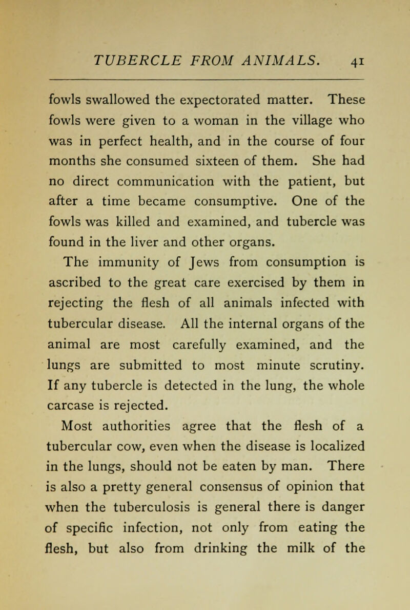 fowls swallowed the expectorated matter. These fowls were given to a woman in the village who was in perfect health, and in the course of four months she consumed sixteen of them. She had no direct communication with the patient, but after a time became consumptive. One of the fowls was killed and examined, and tubercle was found in the liver and other organs. The immunity of Jews from consumption is ascribed to the great care exercised by them in rejecting the flesh of all animals infected with tubercular disease. All the internal organs of the animal are most carefully examined, and the lungs are submitted to most minute scrutiny. If any tubercle is detected in the lung, the whole carcase is rejected. Most authorities agree that the flesh of a tubercular cow, even when the disease is localized in the lungs, should not be eaten by man. There is also a pretty general consensus of opinion that when the tuberculosis is general there is danger of specific infection, not only from eating the flesh, but also from drinking the milk of the