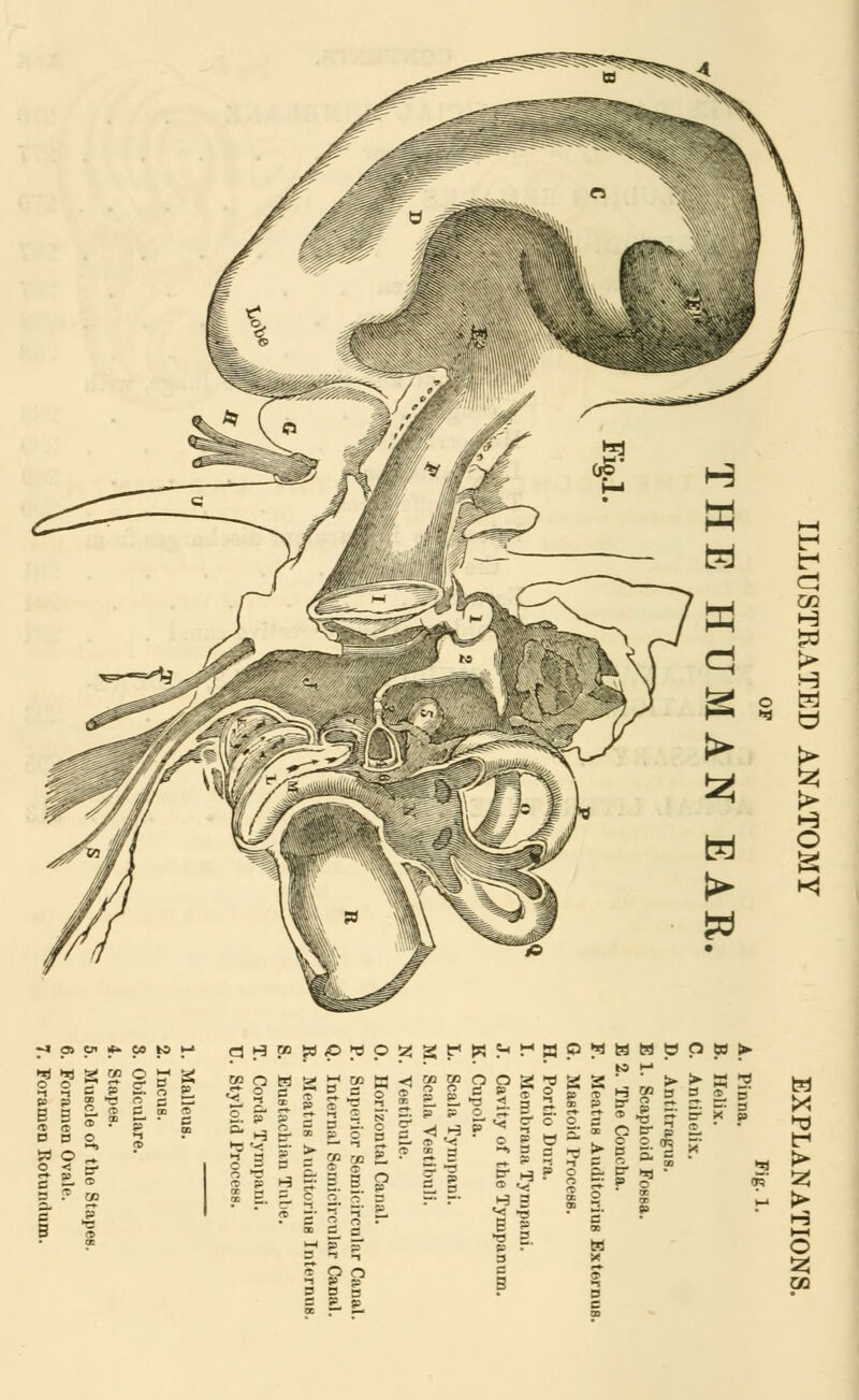 ^ pj C» |fc T) *fl 2 TO 2. 2. = p p p oo -e US'? d a o ^ o2 M B M ° a ^ CJ H TO TOOK SB £, ,►3 P* x £. 2. | § | ff 8? 5 H 5 = B ►a i-1 totooo2322' >->Sh3 -d H P 5 H ? O S ST £ S  w t-< > S3 c szj