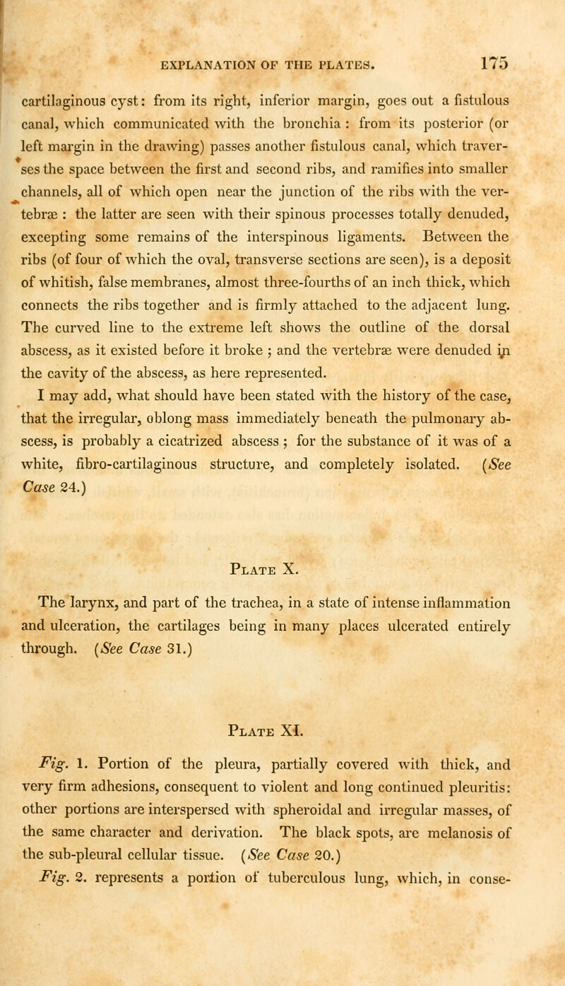 cartilaginous cyst: from its right, inferior margin, goes out a fistulous canal, which communicated with the bronchia : from its posterior (or left margin in the drawing) passes another fistulous canal, which traver- ses the space between the first and second ribs, and ramifies into smaller channels, all of which open near the junction of the ribs with the ver- tebras : the latter are seen with their spinous processes totally denuded, excepting some remains of the interspinous ligaments. Between the ribs (of four of which the oval, transverse sections are seen), is a deposit of whitish, false membranes, almost three-fourths of an inch thick, which connects the ribs together and is firmly attached to the adjacent lung. The curved line to the extreme left shows the outline of the dorsal abscess, as it existed before it broke ; and the vertebrae were denuded yi the cavity of the abscess, as here represented. I may add, what should have been stated with the history of the case, that the irregular, oblong mass immediately beneath the pulmonary ab- scess, is probably a cicatrized abscess ; for the substance of it was of a white, fibro-cartilaginous structure, and completely isolated. (See Case 24.) Plate X. The larynx, and part of the trachea, in a state of intense inflammation and ulceration, the cartilages being in many places ulcerated entirely through. (See Case 31.) Plate XL Fig. 1. Portion of the pleura, partially covered with thick, and very firm adhesions, consequent to violent and long continued pleuritis: other portions are interspersed with spheroidal and irregular masses, of the same character and derivation. The black spots, are melanosis of the sub-pleural cellular tissue. (See Case 20.) Fig. 2. represents a portion of tuberculous lung, which, in conse-