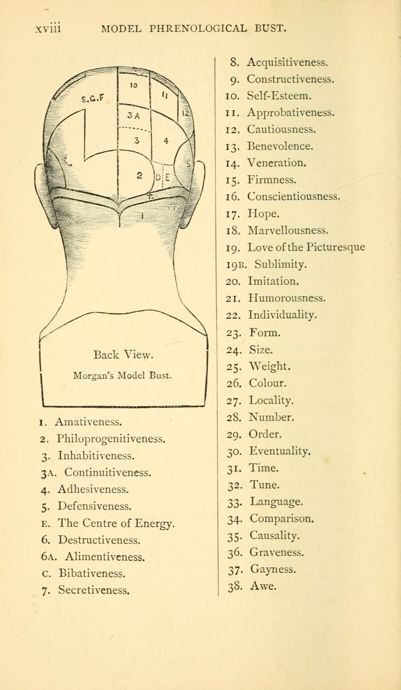 Back View. Morgan's Model Bust. 1. Amativeness. 2. Philoprogenitiveness. 3. Inhabitiveness. 3A. Continuitiveness. 4. Adhesiveness. 5. Defensiveness. E. The Centre of Energy. 6. Destructiveness. 6a. Alimentiveness. c. Bibativeness. 7. Secretiveness. 26. 27. 28. 29. SO- 3i- 32. 33- 34- 35- 36. 37- 38. Acquisitiveness. Constructiveness. Self-Esteem. Approbativeness. Cautiousness. Benevolence. Veneration. Firmness. Conscientiousness. Hope. Marvellousness. Love of the Picturesque . Sublimity. Imitation. Humorousness. Individuality. Form. Size. Weight. Colour. Locality. Number. Order. Eventuality. Time. Tune. Language. Comparison. Causality. Graveness. Gayness. Awe.