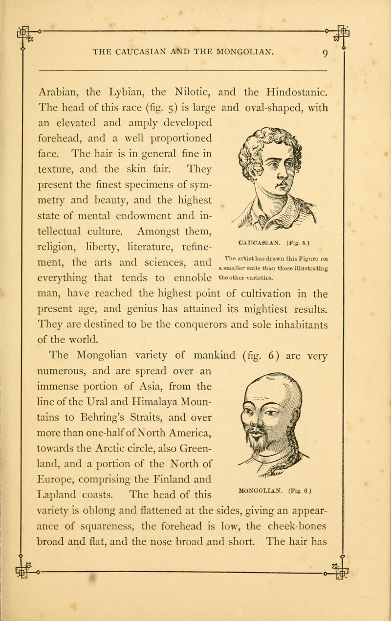 THE CAUCASIAN AND THE MONGOLIAN. Arabian, the Lybian, the Nilotic, and the Hindostanic. The head of this race (fig. 5) is large and oval-shaped, with an elevated and amply developed forehead, and a well proportioned face. The hair is in general fine in texture, and the skin fair. They present the finest specimens of sym- metry and beauty, and the highest state of mental endowment and in- tellectual culture. Amongst them, religion, liberty, literature, refine- ment, the arts and sciences, and CAUCASIAN. (Tig. 5.) The artist has drawn this Figure on i smaller scale than those illustrating everything that tends to ennoble another varieties, man, have reached the highest point of cultivation in the present age, and genius has attained its mightiest results. They are destined to be the conquerors and sole inhabitants of the world. The Mongolian variety of mankind (fig. 6) are very numerous, and are spread over an immense portion of Asia, from the line of the Ural and Himalaya Moun- tains to Behring's Straits, and over more than one-half of North America, towards the Arctic circle, also Green- land, and a portion of the North of Europe, comprising the Finland and Lapland coasts. The head of this *>ngolian. <Fig.6., variety is oblong and flattened at the sides, giving an appear- ance of squareness, the forehead is low, the cheek-bones broad and flat, and the nose broad and short. The hair has