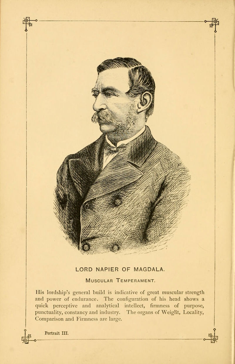 LORD NAPIER OF MAGDALA. Muscular Temperament. His lordship's general build is indicative of great muscular strength and power of endurance. The configuration of his head shows a quick perceptive and analytical intellect, firmness of purpose, punctuality, constancy and industry. The organs of Weight, Locality, Comparison and Firmness are large.