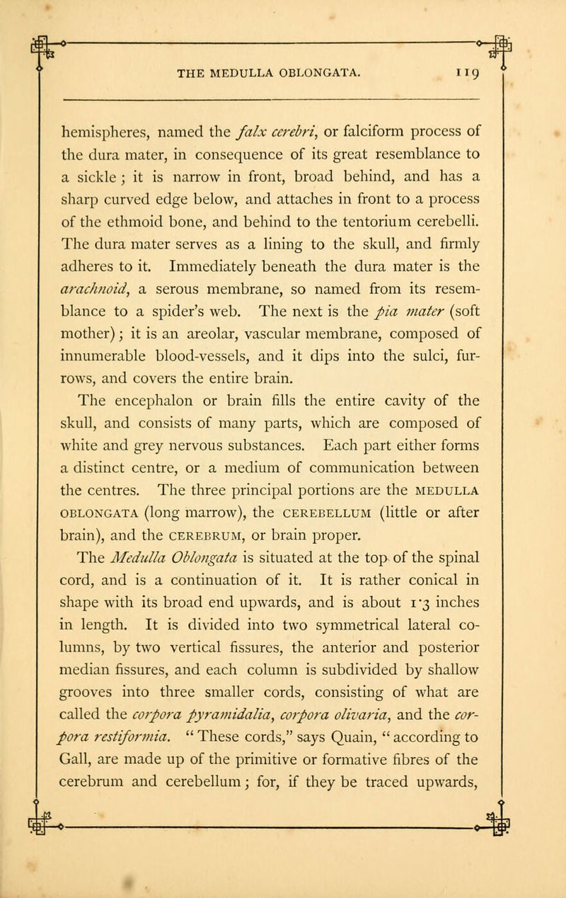 -o —°~~E*i] THE MEDULLA OBLONGATA. 119 hemispheres, named the falx cerebri, or falciform process of the dura mater, in consequence of its great resemblance to a sickle ; it is narrow in front, broad behind, and has a sharp curved edge below, and attaches in front to a process of the ethmoid bone, and behind to the tentorium cerebelli. The dura mater serves as a lining to the skull, and firmly adheres to it. Immediately beneath the dura mater is the arachnoid, a serous membrane, so named from its resem- blance to a spider's web. The next is the pia mater (soft mother); it is an areolar, vascular membrane, composed of innumerable blood-vessels, and it dips into the sulci, fur- rows, and covers the entire brain. The encephalon or brain fills the entire cavity of the skull, and consists of many parts, which are composed of white and grey nervous substances. Each part either forms a distinct centre, or a medium of communication between the centres. The three principal portions are the medulla oblongata (long marrow), the cerebellum (little or after brain), and the cerebrum, or brain proper. The Medulla Oblongata is situated at the top of the spinal cord, and is a continuation of it. It is rather conical in shape with its broad end upwards, and is about 1*3 inches in length. It is divided into two symmetrical lateral co- lumns, by two vertical fissures, the anterior and posterior median fissures, and each column is subdivided by shallow grooves into three smaller cords, consisting of what are called the corpora pyramidalia, corpora olivaria, and the cor- pora restiformia.  These cords, says Quain,  according to Gall, are made up of the primitive or formative fibres of the cerebrum and cerebellum; for, if they be traced upwards,