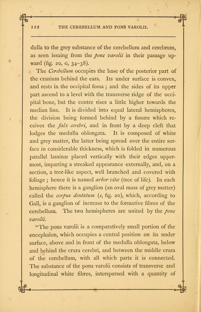 I.fl]l. » —0- 122 THE CEREBELLUM AND PONS VAROLII. dulla to the grey substance of the cerebellum and cerebrum, as seen issuing from the pons varolii in their passage up- ward (fig. 20, o, 34-38). The Cerebellum occupies the base of the posterior part of the cranium behind the ears. Its under surface is convex, and rests in the occipital fossa; and the sides of its upper part ascend to a level with the transverse ridge of the occi- pital bone, but the centre rises a little higher towards the median line. It is divided into equal lateral hemispheres, the division being formed behind by a fissure which re- ceives the falx cerebri, and in front by a deep cleft that lodges the medulla oblongata. It is composed of white and grey matter, the latter being spread over the entire sur- face in considerable thickness, which is folded in numerous parallel laminae placed vertically with their edges upper- most, imparting a streaked appearance externally, and, on a section, a tree-like aspect, well branched and covered with foliage ; hence it is named arbor vitce (tree of life). In each hemisphere there is a ganglion (an oval mass of grey matter) called the corpus dent at um (s, fig. 20), which, according to Gall, is a ganglion of increase to the formative fibres of the cerebellum. The two hemispheres are united by the po?is varolii. The pons varolii is a comparatively small portion of the encephalon, which occupies a central position on its under surface, above and in front of the medulla oblongata, below and behind the crura cerebri, and between the middle crura of the cerebellum, with all which parts it is connected. The substance of the pons varolii consists of transverse and longitudinal white fibres, interspersed with a quantity of