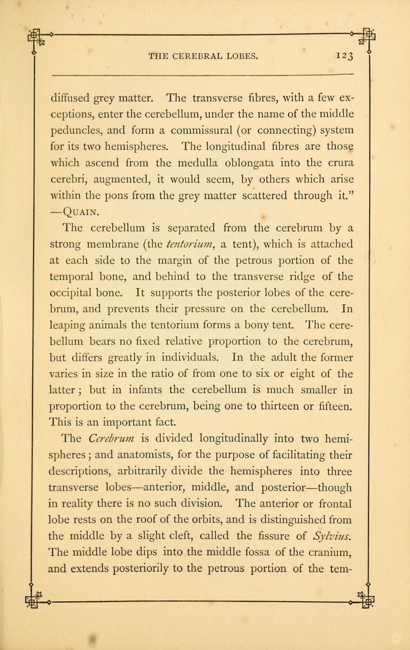 Br-» «-fl THE CEREBRAL LOBES. I 23 diffused grey matter. The transverse fibres, with a few ex- ceptions, enter the cerebellum, under the name of the middle peduncles, and form a commissural (or connecting) system for its two hemispheres. The longitudinal fibres are those which ascend from the medulla oblongata into the crura cerebri, augmented, it would seem, by others which arise within the pons from the grey matter scattered through it. —Quain. The cerebellum is separated from the cerebrum by a strong membrane (the tentorium, a tent), which is attached at each side to the margin of the petrous portion of the temporal bone, and behind to the transverse ridge of the occipital bone. It supports the posterior lobes of the cere- brum, and prevents their pressure on the cerebellum. In leaping animals the tentorium forms a bony tent. The cere- bellum bears no fixed relative proportion to the cerebrum, but differs greatly in individuals. In the adult the former varies in size in the ratio of from one to six or eight of the latter; but in infants the cerebellum is much smaller in proportion to the cerebrum, being one to thirteen or fifteen. This is an important fact. The Cerebrum is divided longitudinally into two hemi- spheres ; and anatomists, for the purpose of facilitating their descriptions, arbitrarily divide the hemispheres into three transverse lobes—anterior, middle, and posterior—though in reality there is no such division. The anterior or frontal lobe rests on the roof of the orbits, and is distinguished from the middle by a slight cleft, called the fissure of Sylvius. The middle lobe dips into the middle fossa of the cranium, and extends posteriorily to the petrous portion of the tem-