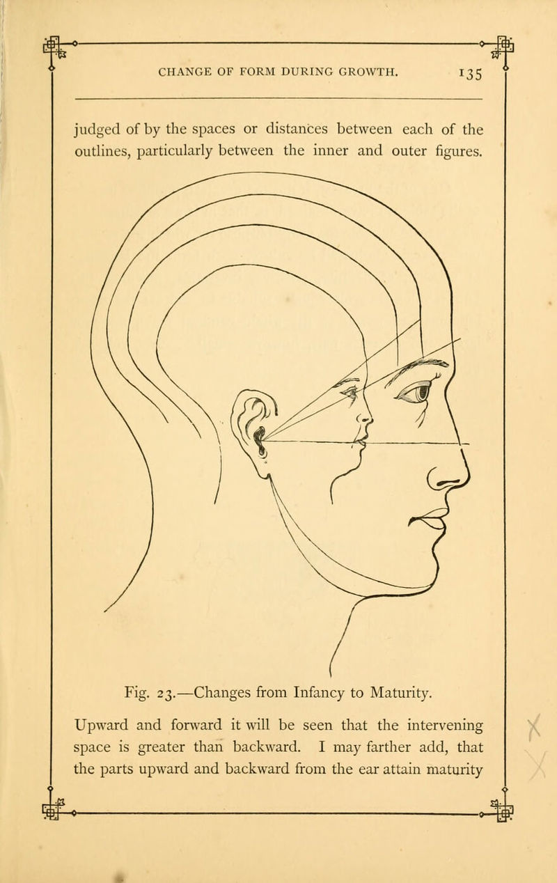 CHANGE OF FORM DURING GROWTH. *35 judged of by the spaces or distances between each of the outlines, particularly between the inner and outer figures. Fig. 23.—Changes from Infancy to Maturity. Upward and forward it will be seen that the intervening space is greater than backward. I may farther add, that the parts upward and backward from the ear attain maturity 434~»-