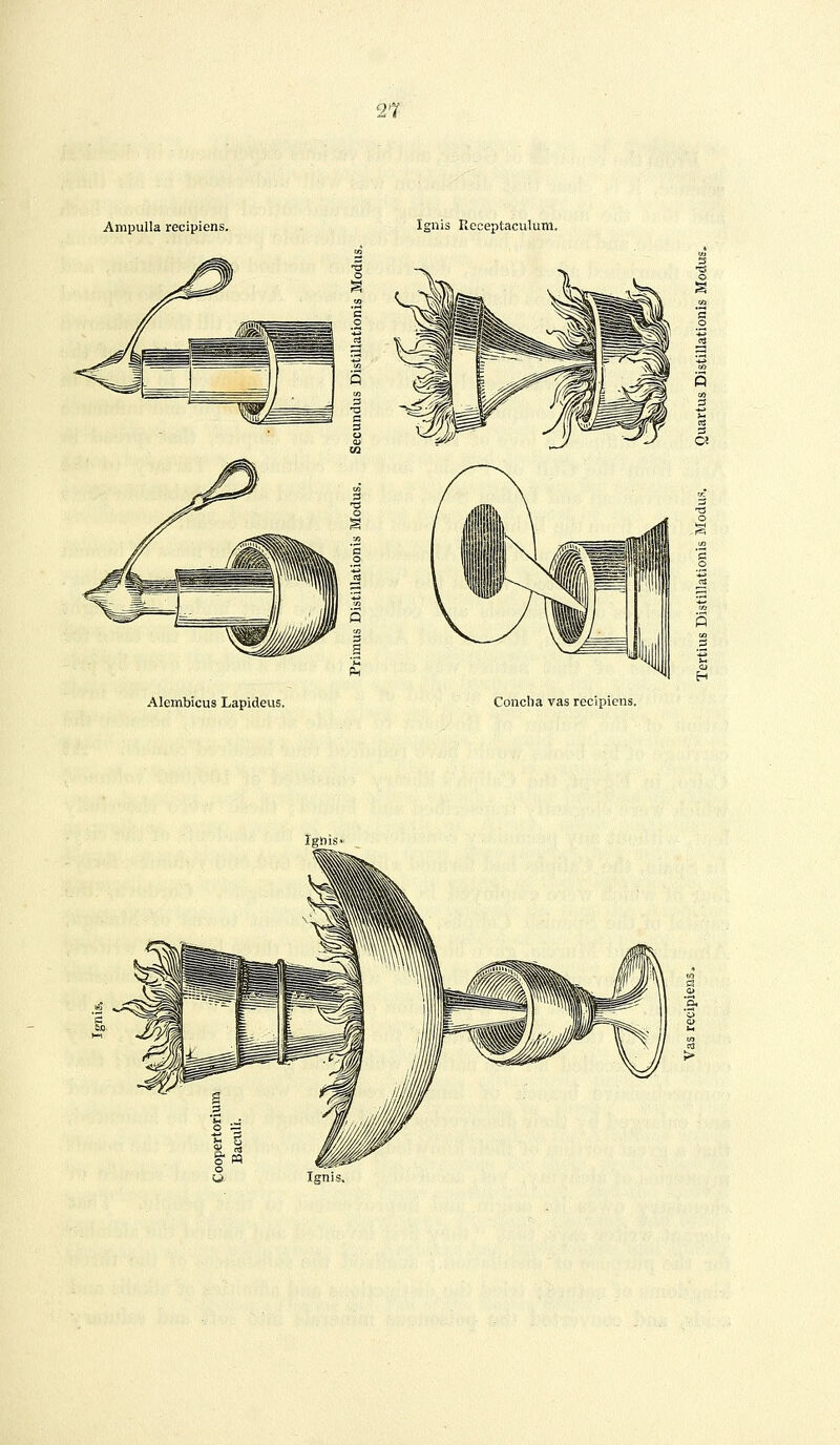 Ampulla recipiens. Ignis Receptaculum. Alembicus Lapideus, Conclia vas recipiens.