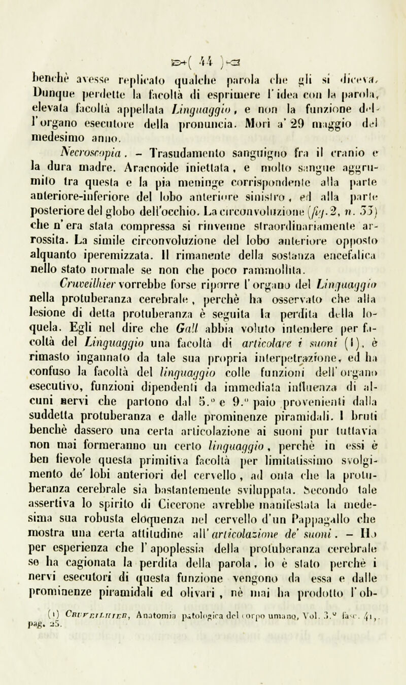 £h-( -'ti jK3 benché avosvip replicalo qualche parola die {ili si «liceva. Dunque penlellc la taccila di esprimere l'idea con la parola, elevala (acollà appellala Linguaggio, e non la funzione di-l- l'organo eseciiloie della pronuncia. Mori a'29 n»aggio di'l medesimo anno. Necmmipia. - Trasudanienlo sanguigno fra il cranio e la dura madre. Aracnoide iniettala, e mollo sangue aggru- milo tra questa e la pia meninge corrispomlenic alla parie anteriore-inferiore del lobo anleriore sinislro , eri alla parie posteriore del globo dell'occhio. Lacn'convoliizione (/Ì7.2, »/. 55) che n'era siala compressa si rinvenne slraordiuariamenle ar- rossita. La simile circonvoluzione del lobo anteriore opposto alquanto iperemizzata. il rimanente della soslanza encefalica nello stato normale se non che poco rammollila. Crnveilhier vorrebbe forse riporre l'organa del Linguaggi» nella protuberanza cerebrale , perchè ha osservato che alla lesione di delta protuberanza è seguita la perdila dilla lo- quela. Egli nel dire che Gali abbia voluto intendere per fa- coltà del Linguaggio una facoltà di articolare i suoni (i), è rimasto ingannalo da tale sua propria inlerpelrazione, ed ha confuso la facoltà del linguaggio colle funzioni dell'organo esecutivo, funzioni dipendenti da immedia'a inlluenza di al- cuni Bervi che partono dal 5. e 9. paio provenieiiti dalla suddetta protuberanza e dalle prominenze piramidali. 1 bruti benché dassero una certa articolazione ai suoni pur tuttavia non mai formeranno un certo linguaggio, perchè in essi è ben lìevole questa primitiva facoltà per limitatissimo svolgi- mento de' lobi anteriori del cervello , ad onta che la protu- beranza cerebrale sia bastantemente sviluppala, fecondo tale assertiva lo spirito di Cicerone avrebbe manilVslata la mede- sima sua robusta eloquenza nel cervello d'un Pappagallo che mostra una certa attitudine nW articolazione de' auoni. - Ut per esperienza che l'apoplessia della protuberanza cerebrale so ha cagionata la perdita della parola, lo è slato perchè i nervi esecutori di questa funzione vengono da essa e dalle prominenze piramidali ed olivari , né mai ha prodotto l'ob- (1) Cmrr.ii.r/rrn, Anatomiii pàtoln'ira del i oriio umano, \'ol. .ì. l'a-r. /,i pag. :jr..