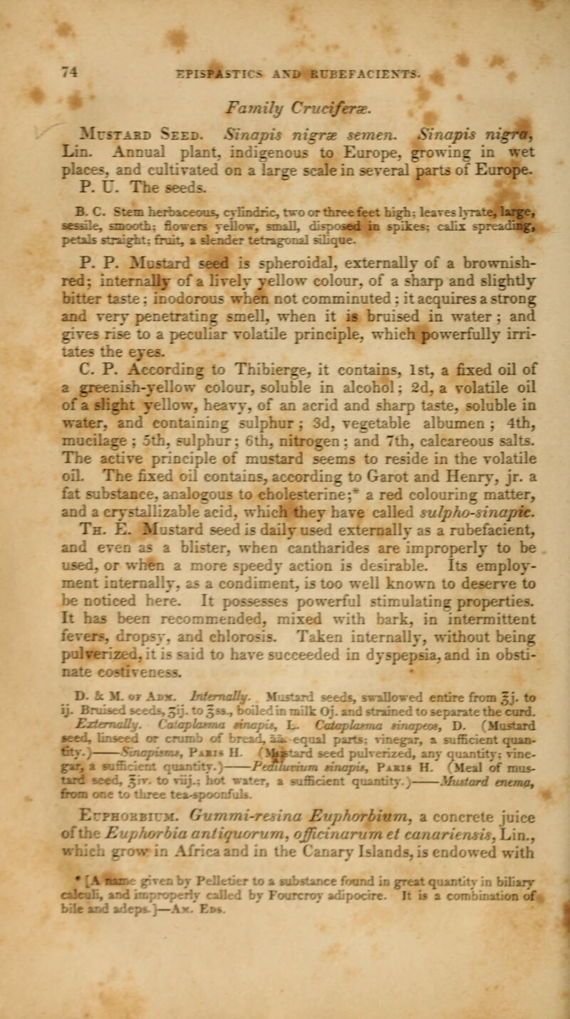fa m \l\ Cnciferae. : sz:: Sinapis nigrae semi s apis nigrw, Lin. Annual plant, indigenous to Europe, growing in wet places, and cultivated on a large scale in several parts of Europe. P. t. The seeds. B.C. Stem herbaceous, cylmdric, two or three feet high: le_ ■^sfle, smooth; flowers yellow, small, il =z : sed petals straight; fruit, a slender tetragonal sili P. P. Mustard seed is spheroidal, externally of a brownish- red; internally of a lively yellow colour, of a sharp and slightly bitter dorous wheh not commin: :rong and very penetrating smell, when it is bruised in water : and to a peculiar volatile principle, which^werfully irri- tates the eg C. P. According to Thibierge, it contains, 1st, a fixed oil of a greenish-yellow colour, soluble in alcohol: 2d, a volatile oil of a slight yellow, heavy, of an acrid and sharp taste, soluble in . and containing sulphur; 3d, vegetable albumen; 4th, mucil: _ . sulphur; 6th, nitrogen; and 7th, calcareous salts. The active principle of mustari to reside in the volatile oiL The fixed oil contains, according to Garot and Henry, jr. a fat substance, analogous to cholesterine;* a red colouring matter, and a i-ble acid, whichH: called sulpho- Th. E. Mustard seed is dai ^rubefacient, and e when cantharides are improperly to be used, or wh§n a more speedy action is desirable. Its employ- ment internally .diment, is too well known to deser be noticed here. It possesses powerful stimulating: properties. It has been recommended, mixed with bark, in intermittent . and chlorosis. Taken internally, without being pulve: eded in . and in obsti- • M. or Am. Internally. Mustard seeds, swallowed entire from ' *d seeds, 5y. to ^ss-, boiled in milk Oj. and strained to separate the curd. Externally. Cataphtma tbiap platma tririapto*, D. (Mustard seed, Unseed or crumb of bread, aik equal parts: vinegar, a sufficient quan- * Nfcktard seed pulverized, any quantity: vine- gar, a ilurivm nnapi*, Pa*i» H. (Meal of mus- tard seed, j$iv. to viij.: hot water, a sufficient quantity.) Mustard enema, from one to three tea-spoonfuls. ■. r> B ■ >.. a concrete juice of the Eupfiorbia antiquorvm. officinaru ;aand in the Canary Islands, is endowed with I substance found in great quantity in biliary calculi, and improperly called by Fourcroy adipoctre. It is a combination of* bile and adeps/—A v. Em. I