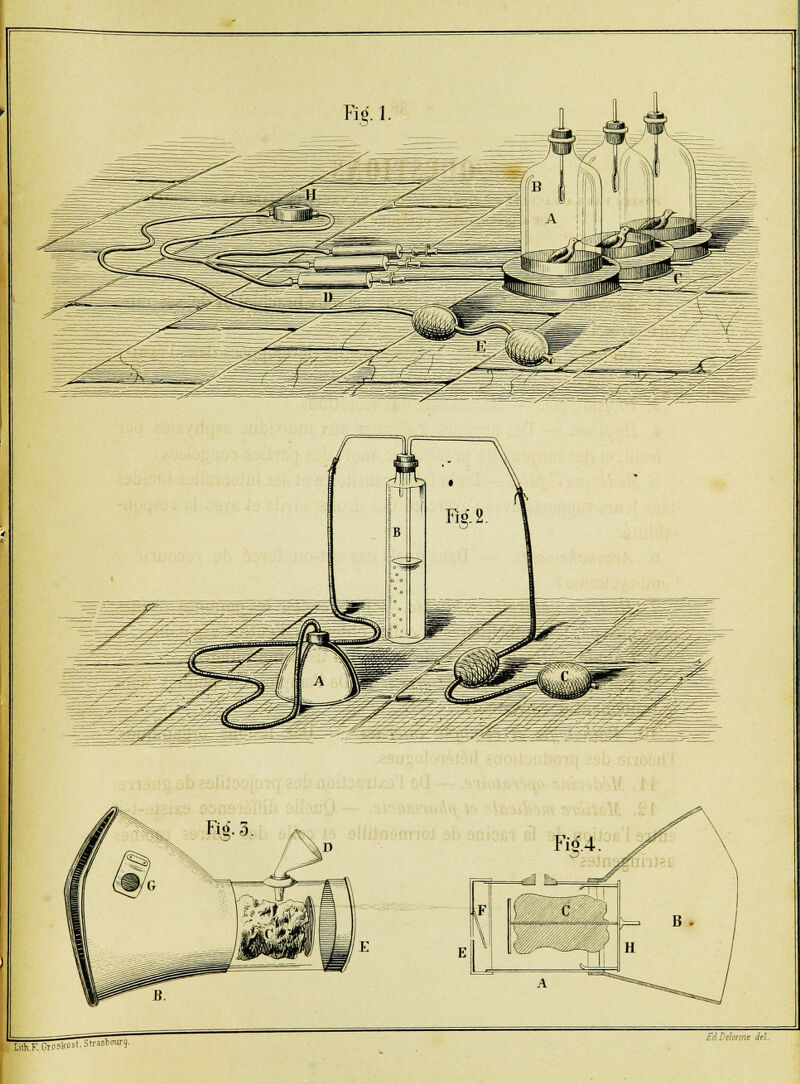 LuKRCroskusl^'^^- Ed Dehrme del.