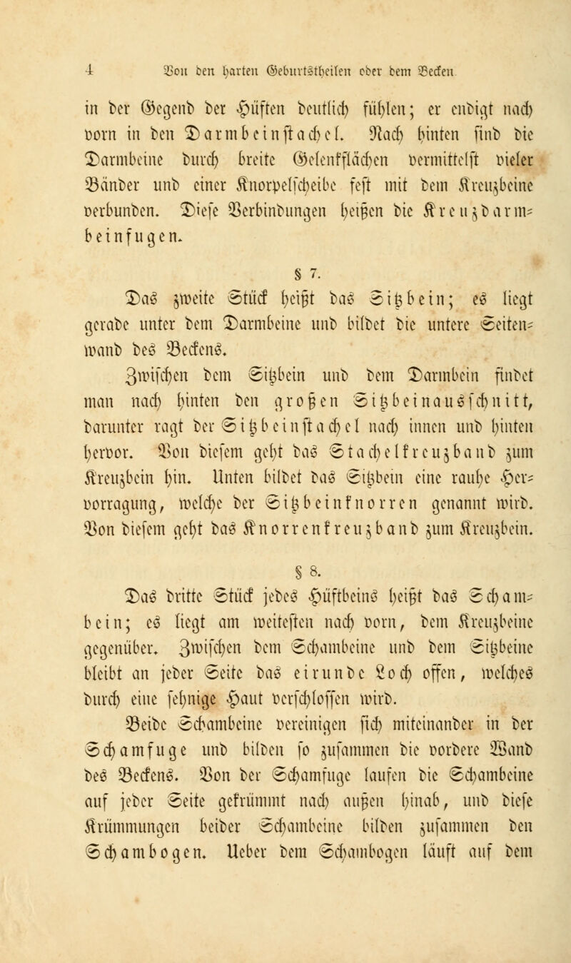 in ber ©egenb ber Ruften beutlid) füllen; er enbtgt nad) t)ovn in ben Darmbein jladje f. 9tadj hinten finb bie Darmbeine buref) breite ©clenfftäd)en öermtttelft vieler 33änber unb einer Änorpeffcbetbc feft mit bem ffreujbeinfc oerbunben. Diefc Serbinbungen Reißen bk ffrettjbarm* beinfugen. § 7. DaS jtüeite Stücf fyeißt bat Si^betn; eS liegt gerabe unter bem Darmbeine unb bflbet Vic untere Seiten^ roanb beS üBecfenä. 3mi[cf)en bem ©ipein unb bem Darmbein ftnbet man nad) tjinten ben gr.oJ.en SttjbeinauSfcbnitt, barunter ragt ber @i£bcinjtad)el nad) innen unb hinten tjer&or. 2>on biefem gefyt ba$ Stachel! rcujbanb ,$um Sfreujbein t)in« Unten bilbet Ka$ Stöbern eine raufje §er* üorragung, meiere ber Stfjb'einfnorren genannt n>irb. $on biefem gcb)t baä Anorrenf reujbanb jum Sreujbein. § 8. DaS britte Stücf jebeä |>üftbein$ fyetflt i>a§ Schani bein; eS liegt am töeitejlen nad) Dorn, bem ffreujbeine gegenüber. 3w'f^)cn kern Schambeine unb bem Scheine bleibt an jeber Seite t>a$ eirunbe 2od) offen, toeldjjeä burd) eine [einige £aut ücrfcfyloffen wirb. SSeibc Schambeine vereinigen ftcf) miteinanber in ber Scfyamfuge unb bilben fo jufammen bie Derbere SSanb bee SecfenS. 93on ber Sd)amfuge laufen bie Schambeine auf jeber Seite gefrümmt nad) a\\$t\\ fyinab, unb biefe Krümmungen beiber Sdjambeine bilben jufammen ben Sd) am bogen* lieber bem Sdnimbogen lauft auf bem