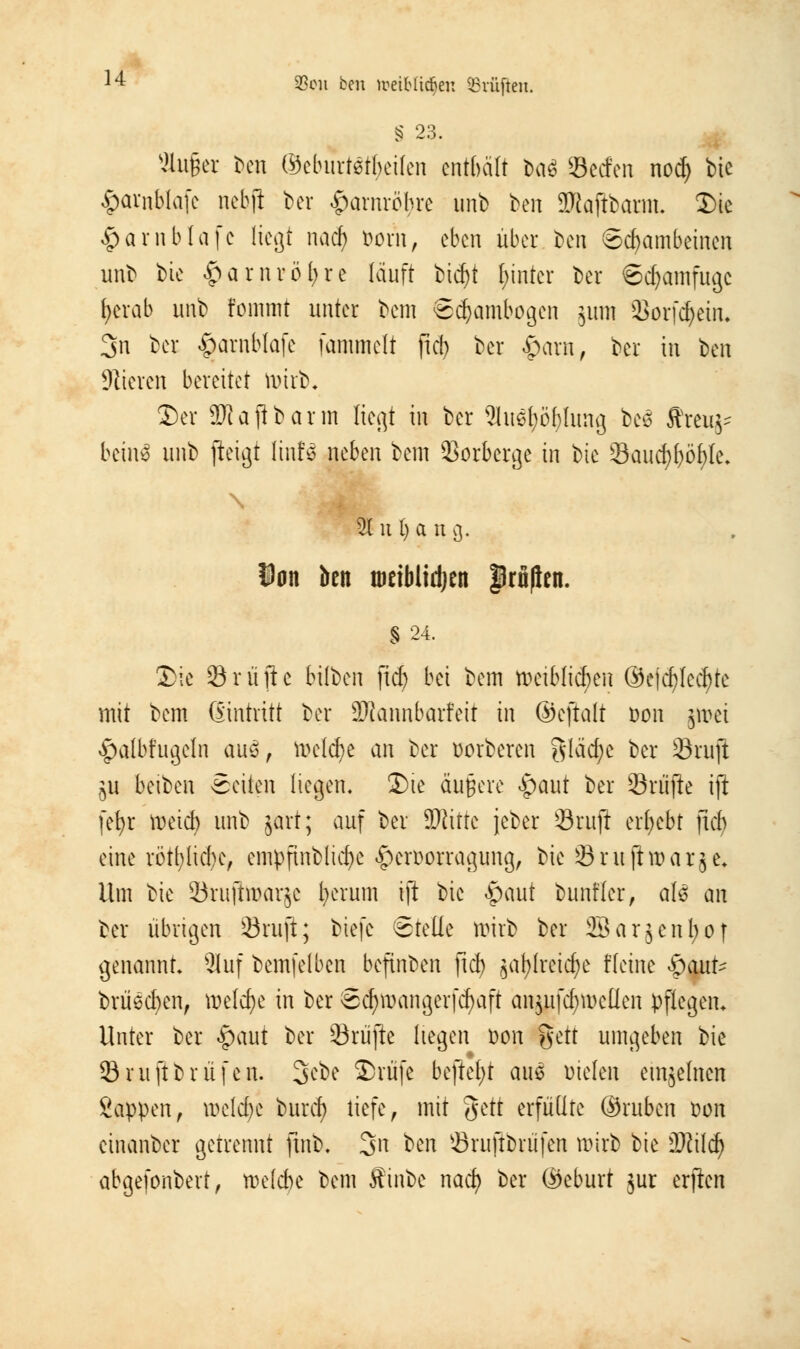 § 23. auger ben ©eburtstbeifen enthält baS Seelen nod) bie §amWa[c ncbjl ber Harnröhre unb ben üJtojlbarm. Die £arnbtafe liegt nad) Dorn, eben über Den Schambeinen unb bie £arnröl;re läuft bid)t l;inter ber ©d)amfugc ^erab unb fommt unter bem Sdjambogen juni Sorfdjein. 3n ber ^arnblafe fammelt fiel) ber £arn, ber in ^cn Stieren bereitet wirb. Der ÜKajibarm liegt in ber s3hi6l;öl)Iung bes ffreuj* betnS unb jieigt linfä neben bem Sorberge in ^>k 23aud)l)öl)le. Dan ben muMiäjen prüften. § 24. Die ©rufte bitben fief) bei bem weiblichen ®ejcf)lecr)te mit bem Eintritt ber üRannbarfeit in ©eftalt Don jmei §>a{btugeln auö, toeldje an ber oorberen gläcfyc ber 23ruft ju beiben Seiten liegen. Die äußere #aut ber Srufte ift fefyr meid) unb jätt; auf ber 3Wüte jeber Sritfi ergebt ftcf) eine rött;lid)e, empfmbücfye ^eroorragung, bie Sruftwar^e. Um bie Skujltöarje fyerum ift bie «paut bunfler, als an ber übrigen 23ru[t; biefe Stelle trnrb ber SBarjenfyof genannt. 9luf bemfelben befinben fid) jaljlrej^e Heine £>aut^ brüecfyen, welche in ber Scfywangerfcfyaft anjufd)wellen pflegen. Unter ber §aut ber 23rüfte liegen Don %üt umgeben bie 23ruftbrufen. 3^* Drüfe heftest am Dielen einzelnen Sappen, welche buref) liefe, mit &tt erfüllte ©ruben Don cinanber getrennt ftnb. 3« &*n ©ruftbrüfen wirb bie SKitcr; abgefonbert, welche bem Äinbe nacr; ber ©eburt jur erjien