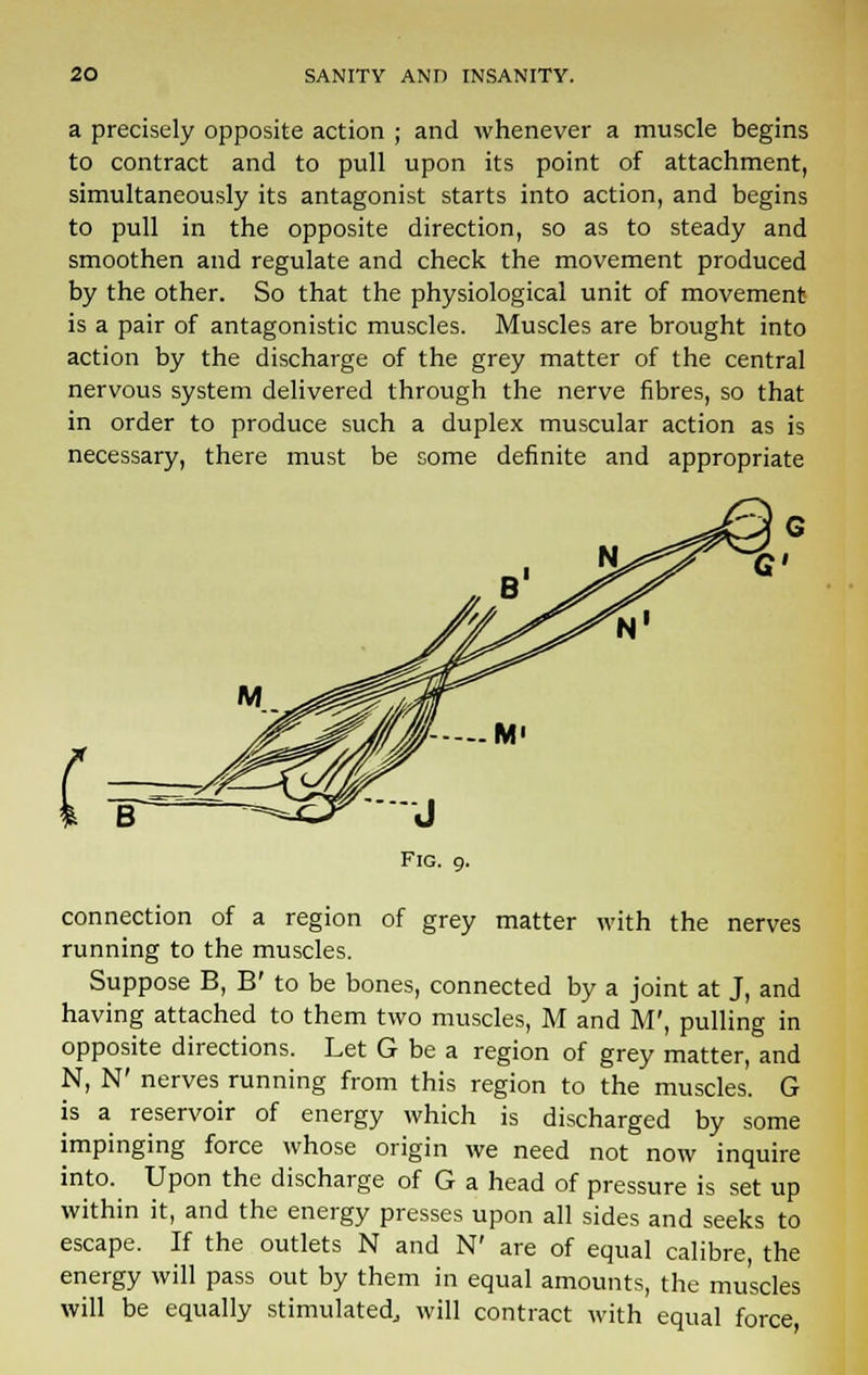 a precisely opposite action ; and whenever a muscle begins to contract and to pull upon its point of attachment, simultaneously its antagonist starts into action, and begins to pull in the opposite direction, so as to steady and smoothen and regulate and check the movement produced by the other. So that the physiological unit of movement is a pair of antagonistic muscles. Muscles are brought into action by the discharge of the grey matter of the central nervous system delivered through the nerve fibres, so that in order to produce such a duplex muscular action as is necessary, there must be some definite and appropriate connection of a region of grey matter with the nerves running to the muscles. Suppose B, B' to be bones, connected by a joint at J, and having attached to them two muscles, M and M', pulling in opposite directions. Let G be a region of grey matter, and N, N' nerves running from this region to the muscles. G is a reservoir of energy which is discharged by some impinging force whose origin we need not now inquire into. Upon the discharge of G a head of pressure is set up within it, and the energy presses upon all sides and seeks to escape. If the outlets N and N' are of equal calibre the energy will pass out by them in equal amounts, the muscles will be equally stimulated., will contract with equal force