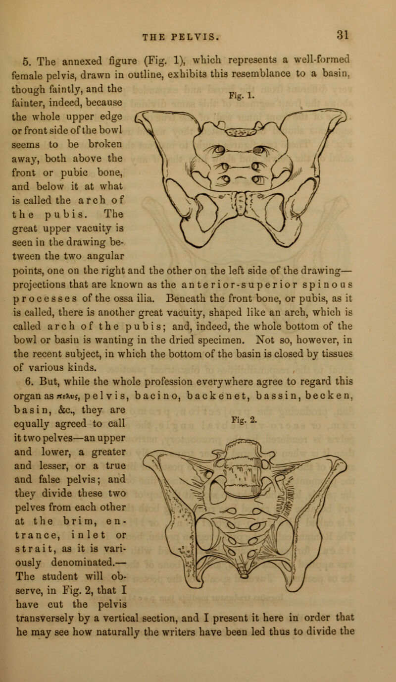 Fig. 1. 5. The annexed figure (Fig. 1), which represents a well-formed female pelvis, drawn in outline, exhibits this resemblance to a basin, though faintly, and the fainter, indeed, because the whole upper edge or front side of the bowl seems to be broken away, both above the front or pubic bone, and below it at what is called the arch of the pubis. The great upper vacuity is seen in the drawing be- tween the two angular points, one on the right and the other on the left side of the drawing— projections that are known as the anterior-superior spinous processes of the ossa ilia. Beneath the front bone, or pubis, as it is called, there is another great vacuity, shaped like an arch, which is called arch of the pubis; and, indeed, the whole bottom of the bowl or basin is wanting in the dried specimen. Not so, however, in the recent subject, in which the bottom of the basin is closed by tissues of various kinds. 6. But, while the whole profession everywhere agree to regard this organ as *sxv$, pelvis, bacino, back en et, bassin, becken. basin, &c, they are equally agreed to call it two pelves—an upper and lower, a greater and lesser, or a true and false pelvis; and they divide these two pelves from each other at the brim, en- trance, inlet or strait, as it is vari- ously denominated.— The student will ob- serve, in Fig. 2, that I have cut the pelvis transversely by a vertical section, and I present it here in order that he may see how naturally the writers have been led thus to divide the Fig. 2.