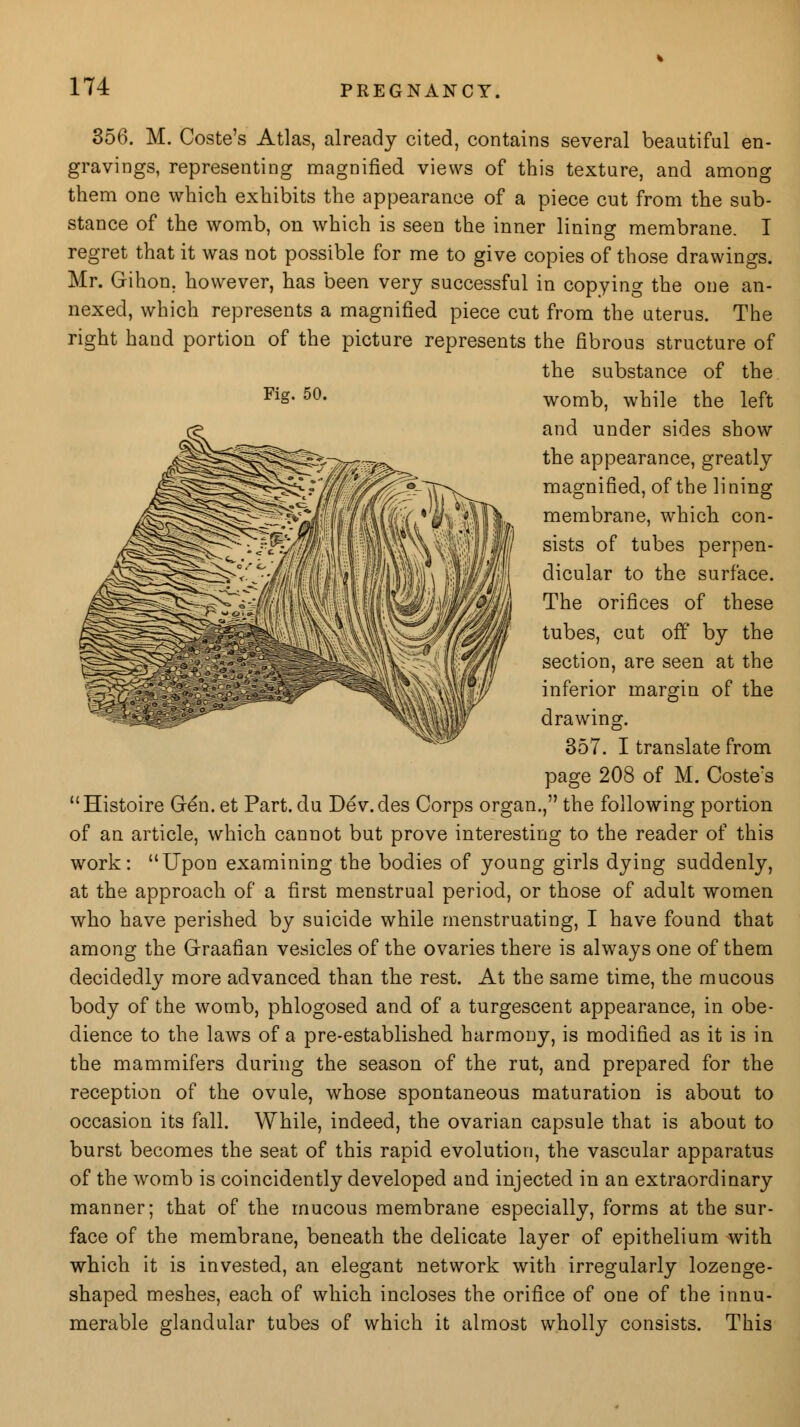 Fig. 50. 356. M. Coste's Atlas, already cited, contains several beautiful en- gravings, representing magnified views of this texture, and among them one which exhibits the appearance of a piece cut from the sub- stance of the womb, on which is seen the inner lining membrane. I regret that it was not possible for me to give copies of those drawings. Mr. Gihon. however, has been very successful in copying the one an- nexed, which represents a magnified piece cut from the uterus. The right hand portion of the picture represents the fibrous structure of the substance of the womb, while the left and under sides show the appearance, greatly magnified, of the lining membrane, which con- sists of tubes perpen- dicular to the surface. The orifices of these tubes, cut off by the section, are seen at the inferior margin of the drawing. 357. I translate from page 208 of M. Coste's Histoire Gen. et Part, du Dev.des Corps organ., the following portion of an article, which cannot but prove interesting to the reader of this work: Upon examining the bodies of young girls dying suddenly, at the approach of a first menstrual period, or those of adult women who have perished by suicide while menstruating, I have found that among the Graafian vesicles of the ovaries there is always one of them decidedly more advanced than the rest. At the same time, the mucous body of the womb, phlogosed and of a turgescent appearance, in obe- dience to the laws of a pre-established harmony, is modified as it is in the mammifers during the season of the rut, and prepared for the reception of the ovule, whose spontaneous maturation is about to occasion its fall. While, indeed, the ovarian capsule that is about to burst becomes the seat of this rapid evolution, the vascular apparatus of the womb is coincidently developed and injected in an extraordinary manner; that of the mucous membrane especially, forms at the sur- face of the membrane, beneath the delicate layer of epithelium with which it is invested, an elegant network with irregularly lozenge- shaped meshes, each of which incloses the orifice of one of the innu- merable glandular tubes of which it almost wholly consists. This