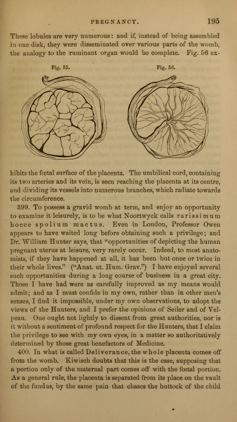 These lobules are very numerous: and if, instead of being assembled in one disk, they were disseminated over various parts of the womb, the analogy to the ruminant organ would be complete. Fig. 56 ex- Fig. 55. Fig. 56. hibits the foetal surface of the placenta. The umbilical cord, containing its two arteries and its vein, is seen reaching the placenta at its centre, and dividing its vessels into numerous branches, which radiate towards the circumference. 399. To possess a gravid womb at term, and enjoy an opportunity to examine it leisurely, is to be what Noortwyck calls rarissimum hocce spolium mactus. Even in London, Professor Owen appears to have waited long before obtaining such a privilege; and Dr. William Hunter says, that opportunities of depicting the human pregnant uterus at leisure, very rarely occur. Indeed, to most anato- mists, if they have happened at all, it has been but once or twice in their whole lives. (Anat. ut. Hum. Grav.r) I have enjoyed several such opportunities during a long course of business in a great city. Those I have had were as carefully improved as my means would admit; and as I must confide in my own, rather than in other men's senses, I find it impossible, under my own observations, to adopt the views of the Hunters, and I prefer the opinions of Seiler and of Vel- peau. One ought not lightly to dissent from great authorities, nor is it without a sentiment of profound respect for the Hunters, that I claim the privilege to see with my own eyes, in a matter so authoritatively determined by those great benefactors of Medicine. 400. In what is called Deliverance, the whole placenta comes oft' from the womb. Kiwisch doubts that this is the case, supposing that a portion only of the maternal part comes off with the fcetal portion. As a general rule, the placenta is separated from its place on the vault of the fundus, by the same pain that chases the buttock of the child