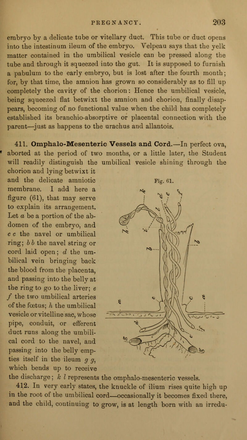 embryo by a delicate tube or vitellary duct. This tube or duct opens into the intestinum ileum of the embryo. Velpeau says that the yelk matter contained in the umbilical vesicle can be pressed along the tube and through it squeezed into the gut. It is supposed to furnish a pabulum to the early embryo, but is lost after the fourth month; for, by that time, the amnion has grown so considerably as to fill up completely the cavity of the chorion: Hence the umbilical vesicle, being squeezed flat betwixt the amnion and chorion, finally disap- pears, becoming of no functional value when the child has completely established its branchio-absorptive or placental connection with the parent—just as happens to the urachus and allantois. 411. Omphalo-Mesenteric Vessels and Cord.—In perfect ova, aborted at the period of two months, or a little later, the Student will readily distinguish the umbilical vesicle shining through the chorion and lying betwixt it and the delicate amniotic membrane. I add here a figure (61), that may serve to explain its arrangement. Let a be a portion of the ab- domen of the embryo, and c c the navel or umbilical ring; b b the navel string or cord laid open; d the um- bilical vein bringing back the blood from the placenta, and passing into the belly at the ring to go to the liver; e f the two umbilical arteries of the foetus; h the umbilical vesicle or vitelline sac, whose pipe, conduit, or efferent duct runs along the umbili- cal cord to the navel, and passing into the belly emp- ties itself in the ileum g g1 which bends up to receive the discharge; k I represents the omphalo-mesenteric vessels. 412. In very early states, the knuckle of ilium rises quite high up in the root of the umbilical cord—occasionally it becomes fixed there, and the child, continuing to grow, is at length born with an irredu-