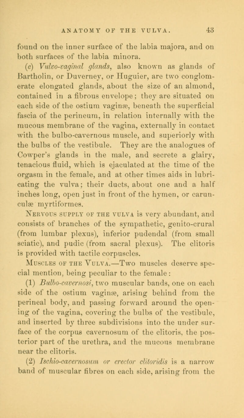 found on the inner surface of the labia majora, and on both surfaces of the labia minora. (c) Vulvo-vaginal glands, also known as glands of Bartholin, or Duvernev, or Huguier, are two conglom- erate elongated glands, about the size of an almond, contained in a fibrous envelope; they are situated on each side of the ostium vagina?, beneath the superficial fascia of the perineum, in relation internally with the mucous membrane of the vagina, externally in contact with the bulbo-cavernous muscle, and superiorly with the bulbs of the vestibule. They are the analogues of Cowper's glands in the male, and secrete a glairy, tenacious fluid, which is ejaculated at the time of the orgasm in the female, and at other times aids in lubri- cating the vulva; their ducts, about one and a half inches long, open just in front of the hymen, or carun- culae myrtiformes. Xervous supply of the vulva is very abundant, and consists of branches of the sympathetic, genito-crural (from lumbar plexus), inferior pudendal (from small sciatic), and pudic (from sacral plexus). The clitoris is provided with tactile corpuscles. Muscles of the Yulva.—Two muscles deserve spe- cial mention, being peculiar to the female: (1) Bulho-c(ver/)osi, two muscular bands, one on each side of the ostium vaginae, arising behind from the perineal body, and passing forward around the open- ing of the vagina, covering the bulbs of the vestibule, and inserted by three subdivisions into the under sur- face of the corpus cavernosum of the clitoris, the pos- terior part of the urethra, and the mucous membrane near the clitoris. (2) Ischio-carernosuiii or erector clit.<>r'<<Us is a narrow band of muscular fibres on each side, arising from the