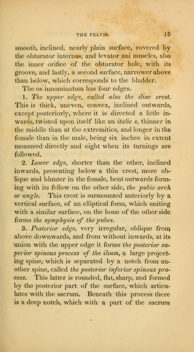 smooth, inclined, nearly plain surface, covered by the obturator internus, and levator ani muscles, also the inner orifice of the obturator hole, with its groove, and lastly, a second surface, narrower above than below, which corresponds to the bladder. The os innominatum has four edges. 1. The upper edge, called also the iliac crest. This is thick, uneven, convex, inclined outwards, except posteriorly, where it is directed a little in- wards, twisted upon itself like an italic s, thinner in the middle than at the extremities, and longer in the female than in the male, being six inches in extent measured directly and eight when its turnings are followed, 2. Lower edge, shorter than the other, inclined inwards, presenting below a thin crest, more ob- lique and blunter in the female, bent outwards form- ing with its fellow on the other side, the pubic arch or angle. This crest is surmounted anteriorly by a vertical surface, of an elliptical form, which uniting with a similar surface, on the bone of the other side forms the symphysis of the pubes. 3. Posterior edge, very irregular, oblique from above downwards, and from without inwards, at its union with the upper edge it forms the posterior su- perior spinous process of the ilium, a large project- ing spine, which is separated by a notch from an- other spine, called the posterior inferior spinous pro- cess. This latter is rounded, flat, sharp, and formed by the posterior part of the surface, which articu- lates with the sacrum. Beneath this process there is a deep notch, which with a part of the sacrum