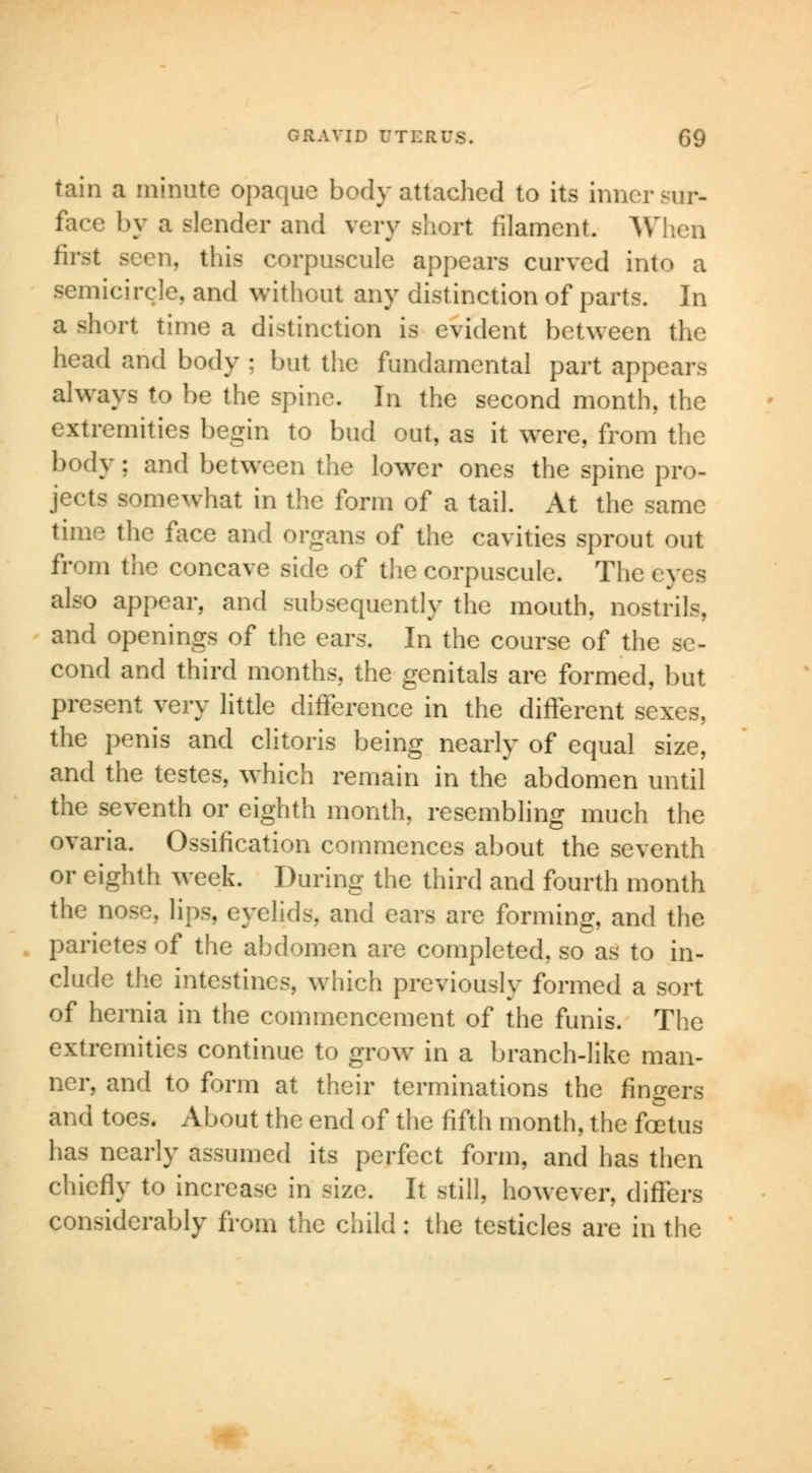 tain a minute opaque body attached to its inner sur- face by a slender and very short filament. When first seen, this corpuscule appears curved into a semicircle, and without any distinction of parts. In a short time a distinction is evident between the head and body ; but the fundamental part appears always to be the spine. In the second month, the extremities begin to bud out, as it were, from the body: and between the lower ones the spine pro- jects somewhat in the form of a tail. At the same time the face and organs of the cavities sprout out from the concave side of the corpuscule. The eyes also appear, and subsequently the mouth, nostrils, and openings of the ears. In the course of the se- cond and third months, the genitals are formed, but present very little difference in the different sexes, the penis and clitoris being nearly of equal size, and the testes, which remain in the abdomen until the seventh or eighth month, resembling much the ovaria. Ossification commences about the seventh or eighth week. During the third and fourth month the nose, lips, eyelids, and ears are forming, and the parietes of the abdomen are completed, so as to in- clude the intestines, which previously formed a sort of hernia in the commencement of the funis. The extremities continue to grow in a branch-like man- ner, and to form at their terminations the fingers and toes. About the end of the fifth month, the foetus has nearly assumed its perfect form, and has then chiefly to increase in size. It still, however, differs considerably from the child: the testicles are in the