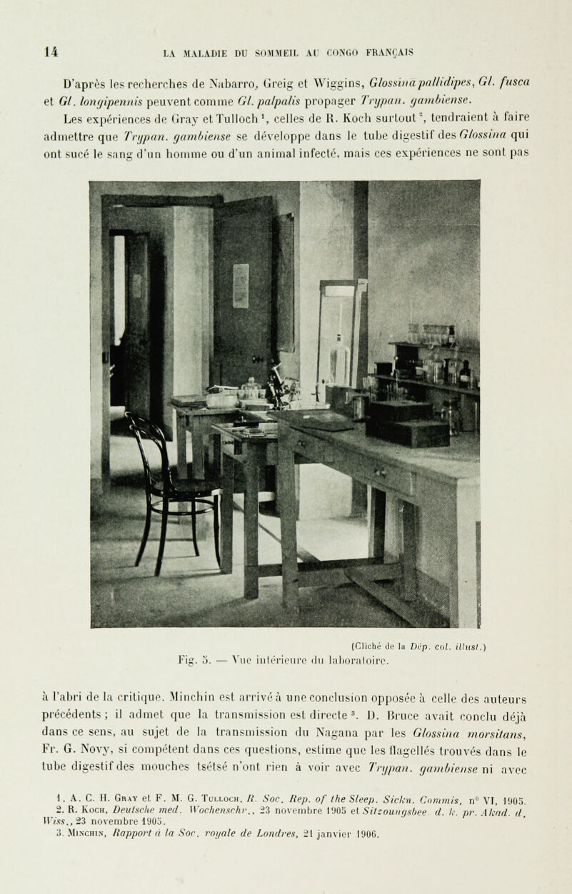 D'après les recherches de Nabarro, Greig et Wiggins, Glossinapallidipea, Gl. fiisca et Gl. lonyipennis peuvent comme Gl. palpalis propager Trypaii. (jantbinnse. Les expériences de (iray ctïulloch', celles de R. Koch surtout', tendraient à faire admettre que Trypun. gamliiense se développe dans le tube digestif des ^/om(//(7 qui ont sucé le sang dun homme ou d'un animal infecté, mais ces expériences ne sont pas (Cliché de lu Dip. col. iVusI.) Fig. d. — \'iio iiilérieurc du hdioruloirc. à l'abri de la critiijue. Mincliin est arrivé à une conclusion opposée à celle des auteurs précédents; il admet que la transmission est directe'. 1). liruce avait conclu déjà dans ce sens, au sujet de la transmission du Nagana par les Glossina morsitans, Fr. G. Novy, si compétent dans ces questions, estime que les flagellés trouvés dans le tube digestif des mouches tsétsé n'ont rien à voir avec Tnjpaii. r/ainùieiise ni avec 1. A. C. II. Gray et F. M. G. Tulloch. /i. Soc. ftep. of Ihe S/eep. Sickn. CiDumis, n VI, U\Oa. 2. R. Koch, Deulsrlie med. Wocheii.'^rhf.. i^ novi'iiitjre l'.IOS et Sit:ouiif/.t^jee d. /,-. pr. .Xkfid. d It'm., 23 novembre 190û. 3. MiNCHi.v, Rapport a la Soc. royale de Londres, 21 janviei- 1906.