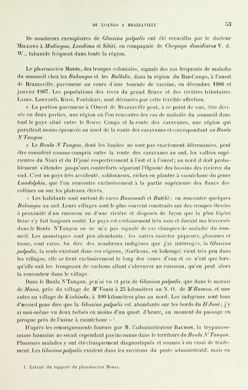 De nombreux exemplaires de G/ossina palpalU ont été recueillis par le docteur M.\i.\jOVs h. MruUnyou, Loudima elSihiti, en compagnie de Clivijsops dimidiatus V. d. W., tabanide fréquent dans toute la région. Le pharmacien Moiiel, des troupes coloniales, signale des cas fréquents de maladie du sommeil cliez les Dakonrjos et les Ballalis, dans la région du Bas-Congo, à l'ouest de Brazzaville, parcourue au cours d'une tournée de vaccine, en décembre 1906 et janvier 1!I07. Les populations des rives du grand fleuve et des rivières tributaires Lamo, Louvouli, Kissi, Foulakari, sont décimées par cette terrible alfection. « La portion parcoui'ue à l'Ouest de Brazzaville peut, à ce point de vue, cire divi- sée en deux paities, une région où l'on rencontre des cas de maladie du sommeil dans tout le pays situé entre le fleuve Congo et la route des caravanes, une région qui paraîtrait nidins épiciuvée au noid de la route des cai'avanes etcori'espondant n\\ Boula N'Tangou. « hQ Boula N'TangoUy dont les limites ne sont pas exactement déterminées, peut être considéré conuLie compris entre la roule des caravanes au sud, les vallées supé- rieures du Niari et du D'joué respectivement à l'est et à l'ouest; au nord il doit proba- blement s'étendre jusqu'aux contreforts séparant l'Ogooué des bassins des rivières du sud. C'est un pays 1res arcidenté, sablonneux, riches en plantes à caouh-boui- du genre Laiidof/diia, ipic l'on lenconlre exclusivement à la partie supérieure des lianes des collines ou sui' les plateaux élevés. « Les liabitanls sont surtout de races Bassoundi et Batido'>\ on rencontre (pu'l(]ues Biil,oiujos au sud. Leurs villages sont le plus souvent construits sur des croupes élevées à proximité d'un ruisseau ou d'une rivière et disposés de faron que la plus légèi-e brise s'y fait toujours sentir. Le pays est certainement très sain et durant ma traversée dans le Boula N'Tani;iui on ne m'a pas signalé de cas clini(]U('S de iiialailir du som- meil. Les mousti(pics sont peu abondants ; li's auties insectes pi(ju(niis, gliissines et taons, sont l'ares. Au dire des nombreux indigènes (pie j'ai interrogés, la G/ossinu /la/pa/is, la seule existant dans ces régions, (Guèkoua, en bakongo) vient très peu dans les villages, elle se tient exclusivement le long des cours d'eau et ce n'est que lors- qu'elle suit les troupeaux de cochons allant s'abreuver au ruisseau, qu'on peut alors la rencontrer dans le village. Dans le Boula IN'Tangou, je n'ai vu et pris de Glossina paljmlis, que dans le marais ûç Mana, près du village de M'Voula à 25 kilomèties au N. 0. de M'Bamoii, et une autre au village de Kiii/tinda, à 100 kilomètres plus au nord. Les indigènes sont tous d'accord pour dire que la G/ossina pa/palis est abondante sur les bords du D'Joné ; j'y ai moi-même vu deux tsétsés en moins d'un quart d'heure, au moment du passage en pirogue près de l'usine à caoutchouc » '. D'après les renseignements fournis par M. l'administrateur IUldon, la trypanoso- miase humaine ne serait cependant pas inconnue dans le itTv'ûomAw Boula X Tamjou. Plusieurs malades y ont étécliniquement diagnostiqués et soumis (à un essai de traite- ment. Les Glussùiapaljmlis existent dans les environs du poste administratif, mais en 1. Exliail ilil ruiipiirl ilu iiliaiiiiaLlL'ii MontL.