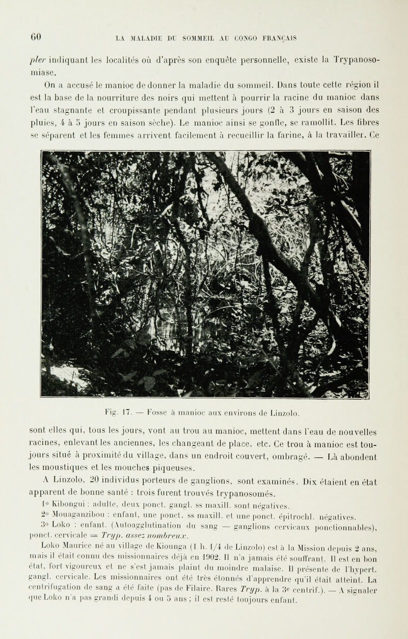 (in I.A MAL.VDIK DU SOMMEIL \li COAGÛ FRANÇAIS [lier iniliquanl li.'s localités où d'après son enquête personnelle, existe la Trypanoso- iniase. On a accusé le manioc de donner la maladie du simimeil. Dans loulc' celle région il est la base de la nourriture des noirs qui mettent à pourrir la racine du manioc dans l'eau stagnante et croupissante pendant plusieurs jours (2 à 3 jours en saison des pluies, 4 à 3 jours en saison sèche). Le manioc ainsi se gonfle, si? ramollit. Les fibres se séparent et les femmes arrivent facilement à recueillir la farine, à la travailler. (]c Fii;. 17. Fos^e à iiiaiiior iiiix riivir(jns ilo Liiizolci. sont elles qui, tous les jours, vont au trou au manioc, mettent dans l'eau de nouvelles racines, enlevant les anciennes, les changeant de place, etc. Ce trou à manioc est tou- jours situé à proximité du village, dans un endroit couvert, ombragé. — Là abondent les moustiques et les mouches piqueuses. .\ Linzolo, 20 individus porteurs de ganglions, sont examinés. Dix étaient en état apparent de bonne santé : trois furent trouvés trypanosomés. 1 Kibongui . ailullo. doux pond, gangl. ss inaxill. sont négalives. l Mouaganziboii : ciiriuil. une pond, ss maxill. ol une pond, épilrochl. néi;utivcs. :i Loko ; eulanl. (A\iloagglutination du sang — ganglions cervicaux pondionnaliles). pond, rei'viialo = Trijji. aifuez nombreux:. Loko Maurice né au village de Kiounga (1 h. 1/i ,1e Linzolo) esl ii la Mission deiiuis 2 ans, mais il élail connu des missionnaires déjà en 1902. Il n'a jamais été souflVant, Il est en bon étal, tort vigoureux et ne s'est jamais plaint du moindre malaise. Il présente de l'hypcrl. gangl. cervicale. Les missionnaires ont été très étonnés d'apprendre qu'il était alleint. La eenlrilugation de sang a été faite (pas de Filaire. Rares Trijp. h la 3^ cenirif.). — A signaler