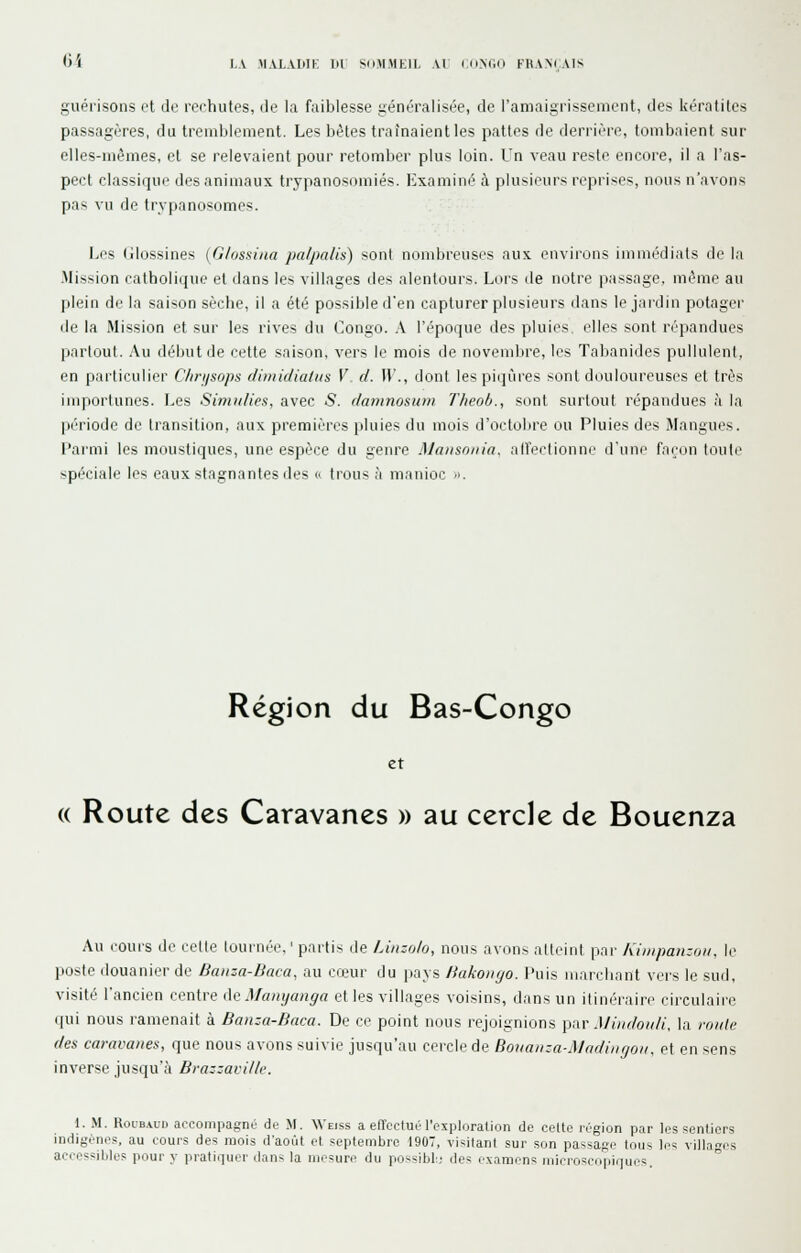 guérisons et do rerhutps, de la faiblesse ,nénéralisée, de l'amaigrissement, des kératites passagères, du treniljlement. Les bètes traînaient les pattes de derrière, tomb;iient sur elles-mêmes, et se relevaient pour retomber plus loin, t'n veau reste encore, il a l'as- pect classique des animaux trypanosomiés. examiné à plusieurs reprises, nous n'avons pas vu de trypanosomes. Les (jlossines {G/ossina palpalis) sont nombreuses aux environs immédiats de la Mission catholique et dans les villages des alentours. Lors de notre passage, même au plein de la saison sèche, il a été possible d'en capturer plusieurs dans le jardin potager de la Mission et sur les rives du Congo. \ l'époque des pluies, elles sont répandues partout. Au début de cette saison, vers le mois de novembre, les Tabanides pullulent, en particulier C/iri/sops dimidiatus V d. IV'., dont les piqûres sont douloureuses et très importunes. Les Simii/ies, avec 5. damnosum Theob., sont surtout répandues à la période de transition, aux premières pluies du mois d'octobre ou Pluies des Mangues. Parmi les moustiques, une espèce du genre Mausnnia. alTectionne d'une façon toute spéciale les eaux stagnantes des o trous à manioc -i. Région du Bas-Congo et (( Route des Caravanes » au cercle de Bouenza Au cours de celle (ournée, ' partis de Linzolo, nous avons alleinl pai- Kiinpanzoïi. le poste douanier de Batiza-Baca, au coiur du |ia\s Bako))yo. Puis marchant vers le sud, visité l'ancien centre i\e Maiiyanga et les villages voisins, dans un itinéraire eii-culaire qui nous ramenait à Banza-Baca. De ce point nous rejoignions ])w Miiidoidi. la mute des caravanes, que nous avons suivie jusqu'au cercle de Bonaitza-Madiiicjoii, et en sens inverse jusqu'à Brazzaville. \. M. RûiBAUb accompagna de M. We/ss a elTeclué l'exploralion de celte région par les senliers indigènes, au cours des mois d'août et septembre 1907, visitant sur son passage tous les villa accessibles pour y pratiquer dans la mesure du possibl:; des examens njicroscopiques. agi's