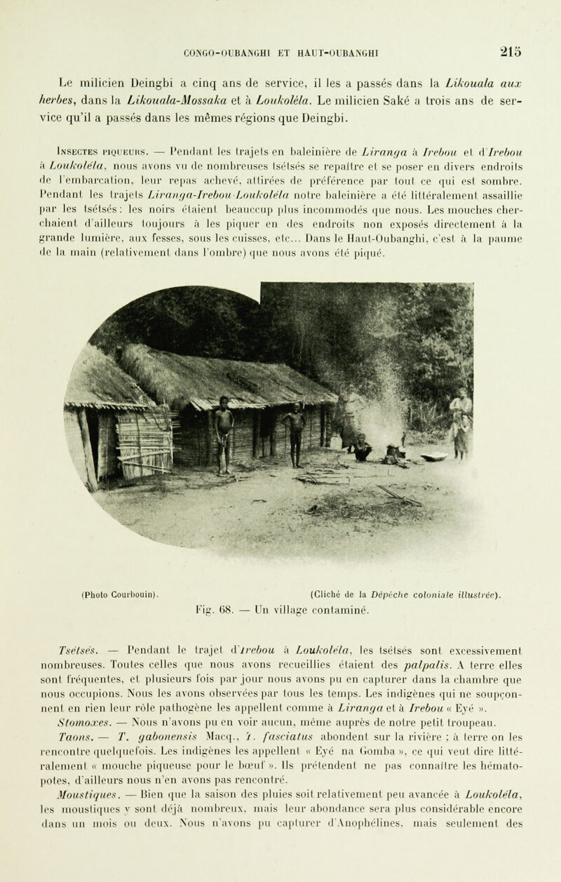 Le milicien Ueingbi a cinq ans de service, il les a passés dans la Likouala aux herbes, dans la Likoiiala-Mossaka et à Loukoléla. Le milicien Saké a trois ans de ser- vice qu'il a passés dans les mêmes régions que Deingbi. Insectes i'iqceuhs. — Pendiml les Irajcls en baleinière de Liranfja k Irchou el (VIvphott ■A Loukoléla, nous avons vu do nombreuses tséisés se repailrc e( se poser en divers endroits de I embarcalion, leur re[iiis achevé, altirées de préférence par loul ce qui est sombre, l'endant les trajets Lirnnfja-Irebou Loukoléla notre baleinière a été littéralement assaillie par les Isétsés : les noirs étaient beauccup [dus incommodés que nous. Les mouches cher- chaient d'ailleurs toujours à les pi(|uei' en dos endroits non exposés directement ii In fjrande lundère. aux fesses, sous les cuisses, etc.. Dans le Haut-Oubanghi, c'est l'i la paume df Im liuiiu (i-chilivciucnt dans l'omltre) cpie nous iivons été piqué. (Pbolo Courliouin). Fis. <i8. (Cliclié (le la DépOclie coluniale illuslrcc). Un vilhipe contaminé. Tuelaés. — l'endant le trajet d'iieljou à Loukoléla. les tsétses sont excessivement nombreuses. Toutes celles que nous avons recueillies étaient des palpalis. .\. terre elles sont fréquentes, et plusieurs fois par jour nous avons pu en capturer dans la chambre que nous occupions. Nous les avons observées par tous les temps. Les indigènes qui ne soupçon- nent en rien leur rùle pathogène les appellent comme à Liranga cl à Irebou « Eyé ». Stomoxes. — .\ous n'avons pu en voir aucun, même auprès de notre petit troupeau. Taons.— T. ijabonensis Macq., i. fasciatus abondent sur la rivière : à terre on les rencontre quelquefois. Les indigènes les appellent « Eyé na (iomba >., ce qui veut dire litté- ralement «1 mouche piqucusc pour le liœuf ». Ils prétendent ne pas connaître les hémato- potes, d'ailleurs nous n'en avons pas rencontré. Moustique.':. — Bien que la saison des pluies soit relativement peu avancée à Loukoléla. les moustiques v sont déjà nomiu-cux. mais leur abondance sera plus considérable encore dans uu mois ou deux. .Nous n'avons pu captuivr d'.Vnophélines. mais seulement des