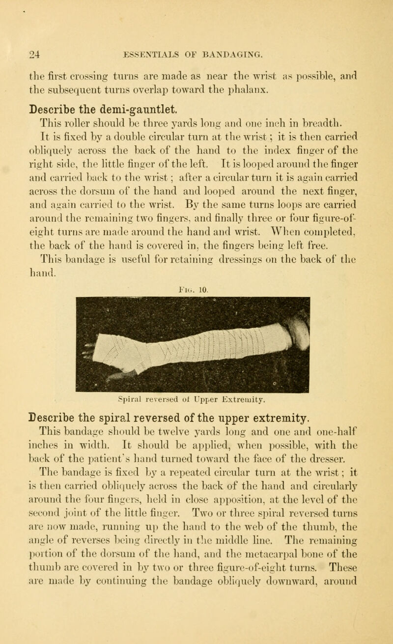 the first crossing turns are made as near the wrist as possible, and the subsequent turns overlap toward the phalanx. Describe the demi-gauntlet. This roller should be three yards long and one inch in breadth. It is fixed by a double circular turn at the wrist; it is then carried obliquely across the back of the hand to the index finger of the right side, the little finger of the left. It is looped around the finger and carried back to the wrist; after a circular turn it is again carried across the dorsum of the hand and looped around the next finger, and again carried to the wrist. By the same turns loops are carried around the remaining two fingers, and finally three or four figure-of- eight turns are made around the hand and wrist. When completed, the back of the hand is covered in. the fingers being left free. This bandage is useful for retaining dressings on the back of the hand. reversed of Upper Extremity. Describe the spiral reversed of the upper extremity. This bandage should be twelve yards long and one and one-half inches in width. It should be applied, when possible, with the back of the patient's hand turned toward the face of the dresser. The bandage is fixed by a repeated circular turn at the wrist; it is then carried obliquely across the back of the hand and circularly around the four fingers, held in close apposition, at the level of the second joint of the little finger. Two or three spiral reversed turns are now made, running up the hand to the web of the thumb, the angle of reverses being directly in the middle line. The remaining portion of the dorsum of the hand, and the metacarpal bone of the thumb are covered in by two or three figure-of-eight turns. These are made by continuing the bandage obliquely downward, around