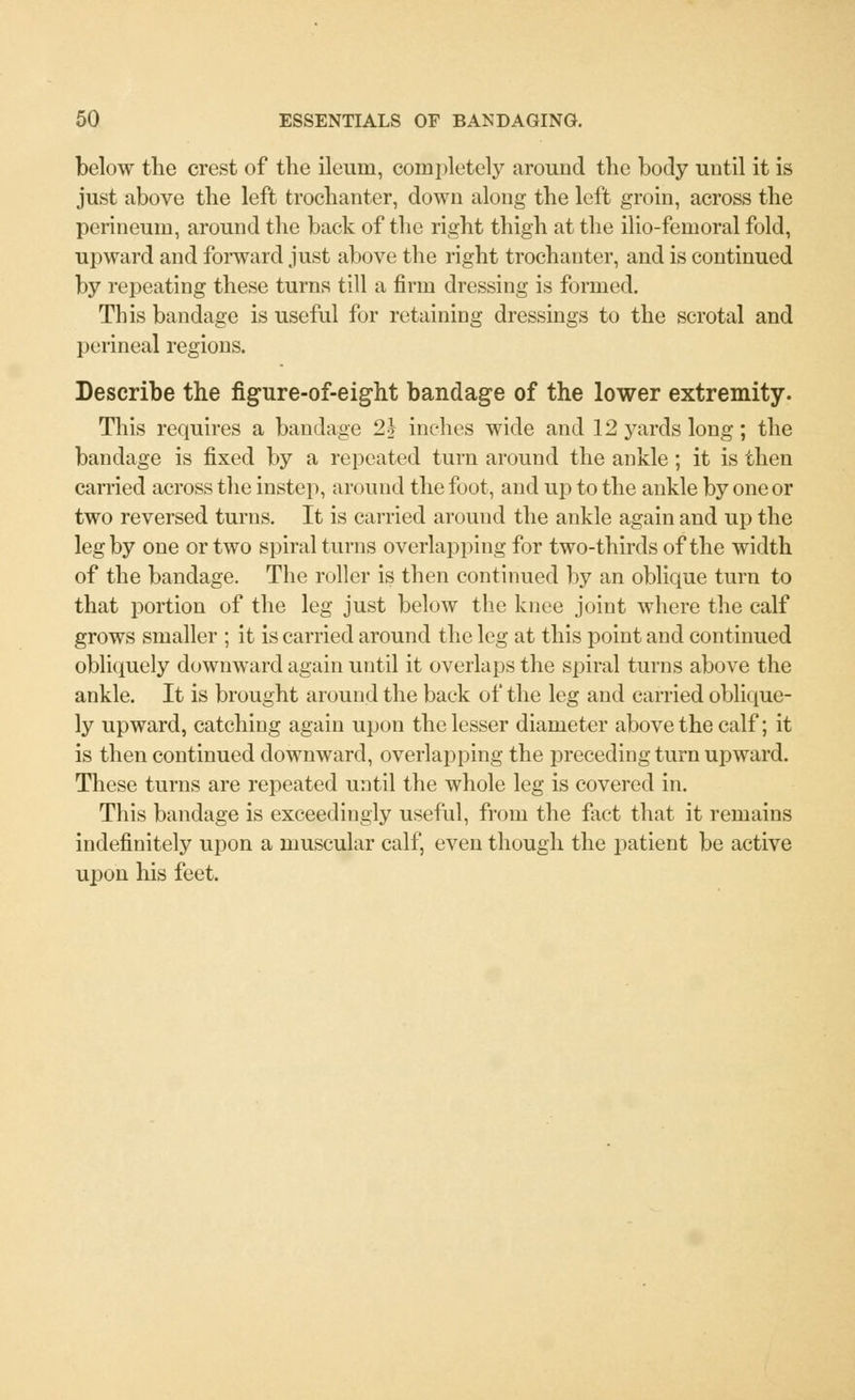 below the crest of the ileum, completely around the body until it is just above the left trochanter, down along the left groin, across the perineum, around the back of the right thigh at the ilio-femoral fold, upward and forward just above the right trochanter, and is continued by repeating these turns till a firm dressing is formed. This bandage is useful for retaining dressings to the scrotal and perineal regions. Describe the figure-of-eight bandage of the lower extremity. This requires a bandage 2} inches wide and 12 yards long; the bandage is fixed by a repeated turn around the ankle; it is then carried across the instep, around the foot, and up to the ankle by one or two reversed turns. It is carried around the ankle again and up the leg by one or two spiral turns overlapping for two-thirds of the width of the bandage. The roller is then continued by an oblique turn to that portion of the leg just below the knee joint where the calf grows smaller ; it is carried around the leg at this point and continued obliquely downward again until it overlaps the spiral turns above the ankle. It is brought around the back of the leg and carried oblique- ly upward, catching again upon the lesser diameter above the calf; it is then continued downward, overlapping the preceding turn upward. These turns are repeated until the whole leg is covered in. This bandage is exceedingly useful, from the fact that it remains indefinitely upon a muscular calf, even though the patient be active upon his feet.