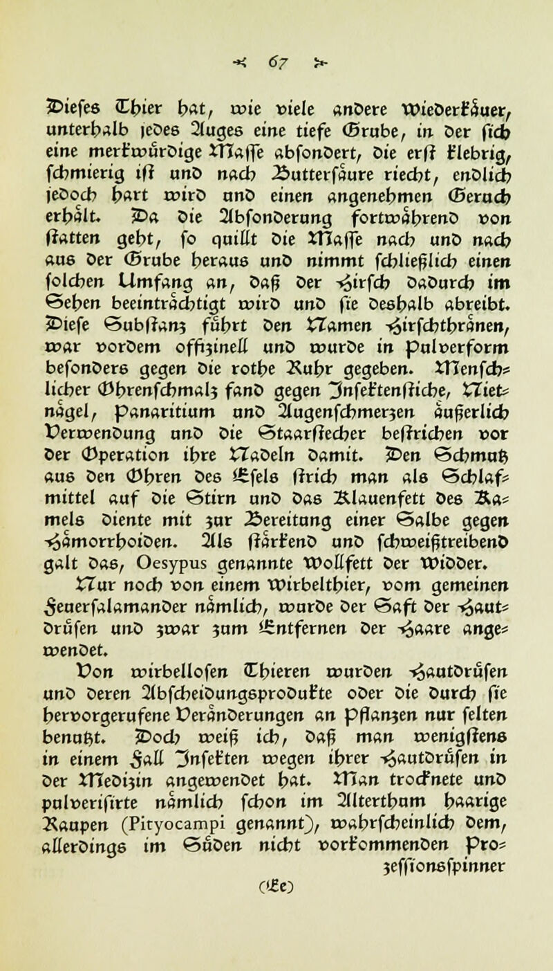 jDiefes JEbier bat, voie »tele anDere wieDertäuer, unterhalb leDes 2luge6 eine tiefe (Brube, in Der fid> eine merr'o>urDige Waffe abfonDert, oie erfl fiebrig, fcbmierig ifi unD nacb Äutterfaure riecbt, enDlicb jeDocb fart roirO unD einen angenebmen (Betad) erbfllt. jDft Die 2lbfonDerung fortu?abrenD von fiatten gebt, fo quillt Die tTIaffe nacb unD nad? aae Der (Brube beraue unD nimmt fcbließlicb einen folcben Umfang anf Dafj Der -«Sirfcb DaDurd? im Seben beeintradjtigt rcirD unD fte Desbalb abreibt. JDiefe <3ubffan3 fubrt Öen ^Tarnen -«Sirfcbtbränen, roar vorDem offijineß unD rourDe in puleerform befonDere gegen Die rotbe Äubr gegeben. XHenfcb* lieber (Dbrenfcbmal? fano gegen 3nfet'ten|ricbe, tliefe nsgel, panaritium unD 21ugenfcbmerjen au^erlicb VerroenDung ano oie Staarffecber betrieben vot Der Operation ibre £ZaDeln Damit. 3Den ©cbmuß aue oen <Dbren Des i£fels ftrieb man als Scblaf? mittel auf Die Stirn unD oae Klauenfett Dee 2£a* mels Diente mit $ur Bereitung einer Salbe gegen -^amorrboiDen. %ls fiart'enD unD fdweißtretbenö galt oas, Oesypus genannte Wollfett Der WiDDer. £Zur noeb von einem Wirbeltbier, »om gemeinen 5euerfalamanDer nämlicb, rourDe Der Saft Der f^auu Drüfen uno jroar $nm Entfernen Der -4aare ange* roenDet. Von roirbellofen JCbieren rourDen -^autOrufen unD Deren 2lbfcbeiDungeproDut'te oDer Die Durcb fie berworgerufene CeranDerungen an pflanzen nur feiten benufct. JDod) weift ich, öaft man rcenigffenö in einem S*U tJnfeften reegen ibrer -^autDrufen in Der tHeDijin angercenDet t>at. Xfian troefnete unD pul»eriftrte namlicb febon im 2(ltertbum b»««ge Raupen (Pityocampi genannt), rcabrfdbeinlicb oem, allerDings im &uoen niebt vort'ommenDen pro* jeffionefpinner 0£t)