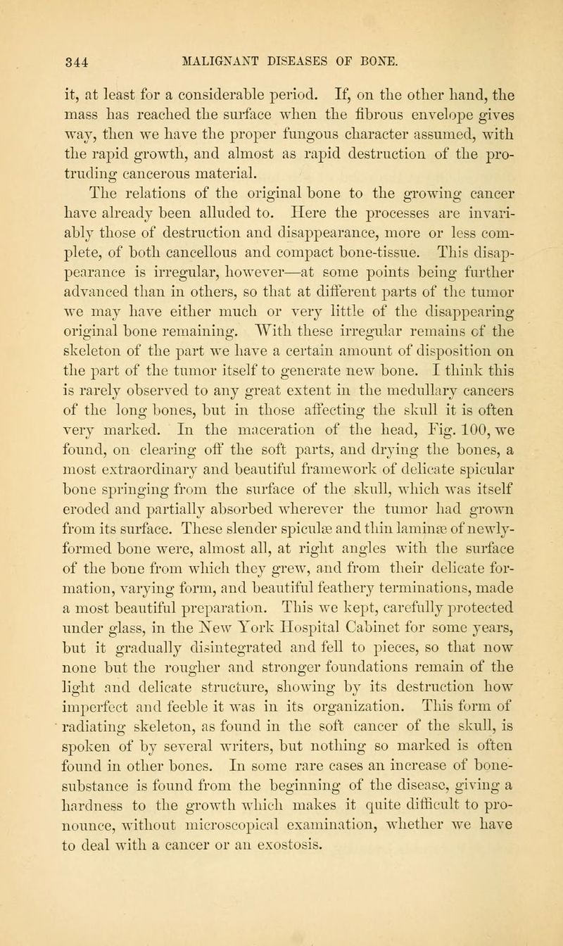 it, at least for a considerable period. If, on tlie other hand, the mass has reached the surface when the fibrous envelope gives way, then we have the proper fungous character assumed, with the rapid growth, and almost as rapid destruction of the pro- truding cancerous material. The relations of the original bone to the growing cancer have already been alluded to. Here the processes are invari- ably those of destruction and disappearance, more or less com- plete, of both cancellous and compact bone-tissue. This disap- pearance is irregular, however—at some points being further advanced than in others, so that at diiferent parts of the tumor we may have either much or very little of the disappearing original bone remaining. With these irregular remains of the skeleton of the part we have a certain amount of disposition on the part of the tumor itself to generate new bone. I think this is rarely observed to any great extent in the medullary cancers of the long bones, but in those aifecting the skull it is often very marked. In the maceration of the head, Fig. 100, we found, on clearing off the soft parts, and drying the bones, a most extraordinary and beautiful framework of delicate spicular bone springing from the surface of the skull, which was itself eroded and partially absorbed wherever the tumor had grown from its surface. These slender spicule and thin laminae of newly- formed bone were, almost all, at right angles with the surface of the bone from which they grew, and from their delicate for- mation, varying form, and beautiful feathery terminations, made a most beautiful preparation. This we kept, carefully protected under glass, in the 'New York Hospital Cabinet for some years, but it gradually disintegrated and fell to pieces, so that now none but the rougher and stronger foundations remain of the light and delicate structure, showing by its destruction how imperfect and feeble it was in its organization. This form of radiating skeleton, as found in the soft cancer of the skull, is spoken of by several writers, but nothing so marked is often found in other bones. In some rare cases an increase of bone- substance is found from the beginning of the disease, giving a hardness to the growth which makes it quite difficult to pro- nounce, without microscopical examination, whether we have to deal with a cancer or an exostosis.