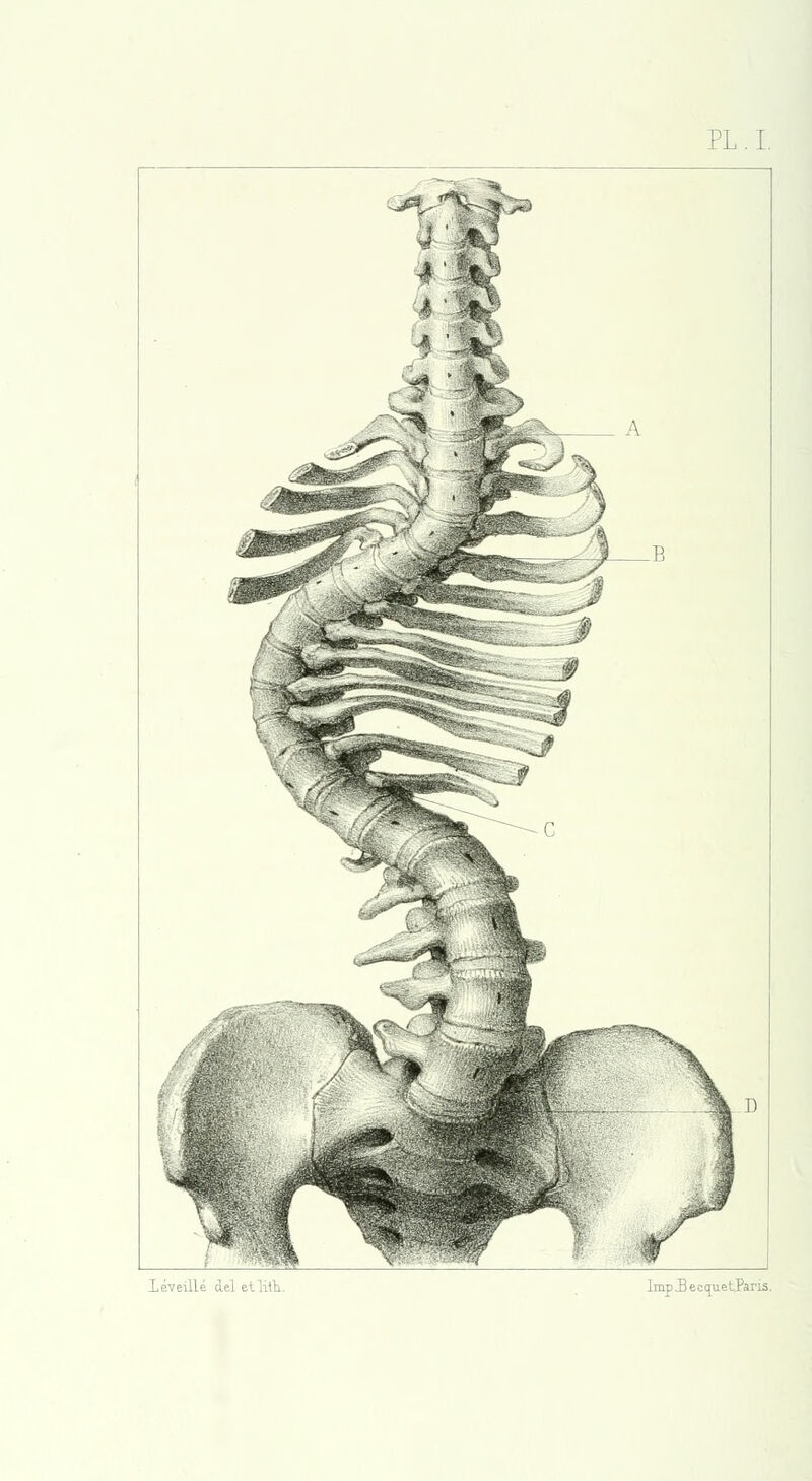 PL.I. Xéyeille del etlitli lmp.BecquetParis.