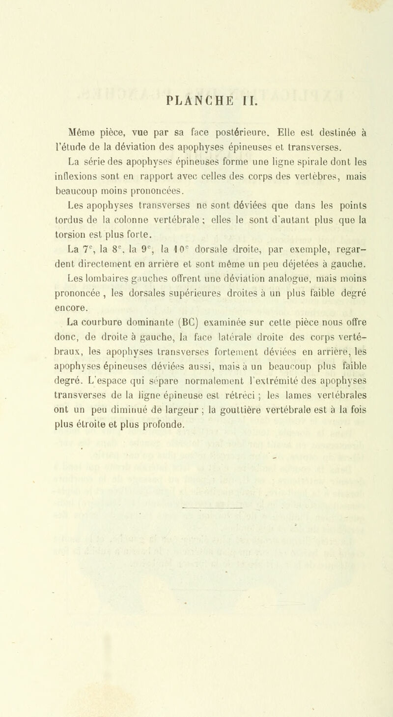 Même pièce, vue par sa face postérieure. Elle est destinée à l'étude de la déviation des apophyses épineuses et transverses. La série des apophyses épineuses forme une ligne spirale dont les inflexions sont en rapport avec celles des corps des vertèbres, mais beaucoup moins prononcées. Les apophyses transverses ne sont déviées que dans les points tordus de la colonne vertébrale ; elles le sont d'autant plus que la torsion est plus forte. La 7, la 8^ la 9% la 10° dorsale droite, par exemple, regar- dent directement en arrière et sont même un peu déjetées à gauche. Les lombaires g.iuches offrent une déviation analogue, mais moins prononcée , les dorsales supérieures droites à un plus faible degré encore. La courbure dominante (BC) examinée sur cette pièce nous offre donc, de droite à gauche, la face latérale droite des corps verté- braux, les apophyses transverses fortement déviées en arrière, les apophyses épineuses déviées aussi, mais à un beaucoup plus faible degré. L'espace qui sépare normalement l'extrémité des apophyses transverses de la ligne épineuse est rétréci ; les lames verlébrales ont un peu diminué de largeur ; la gouttière vertébrale est à la fois plus étroite et plus profonde.